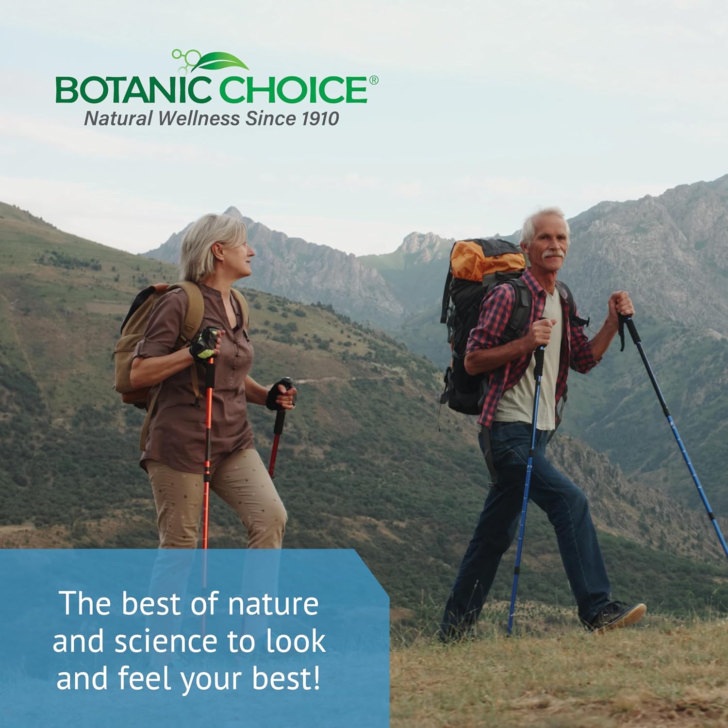 Alcohol-Free Saw Palmetto Berry Liquid Extract - 1 oz Bottle