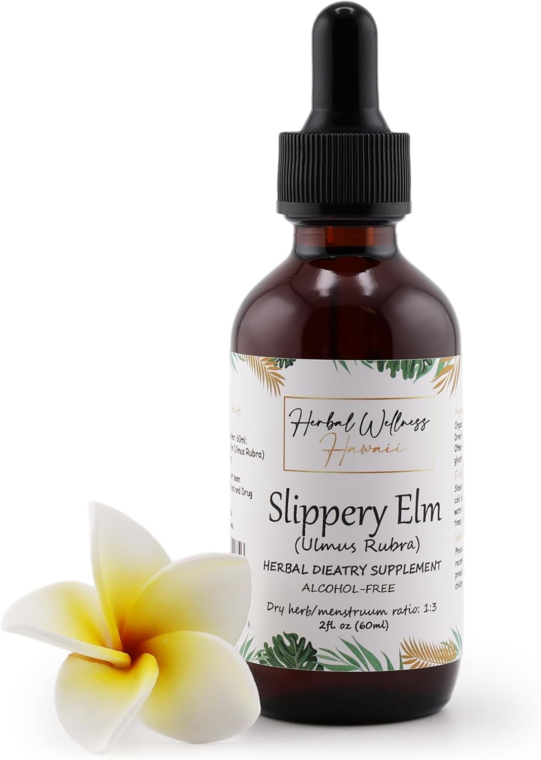 Alcohol-Free Slippery Elm Liquid Extract from Herbal Wellness Hawaii - 2 oz