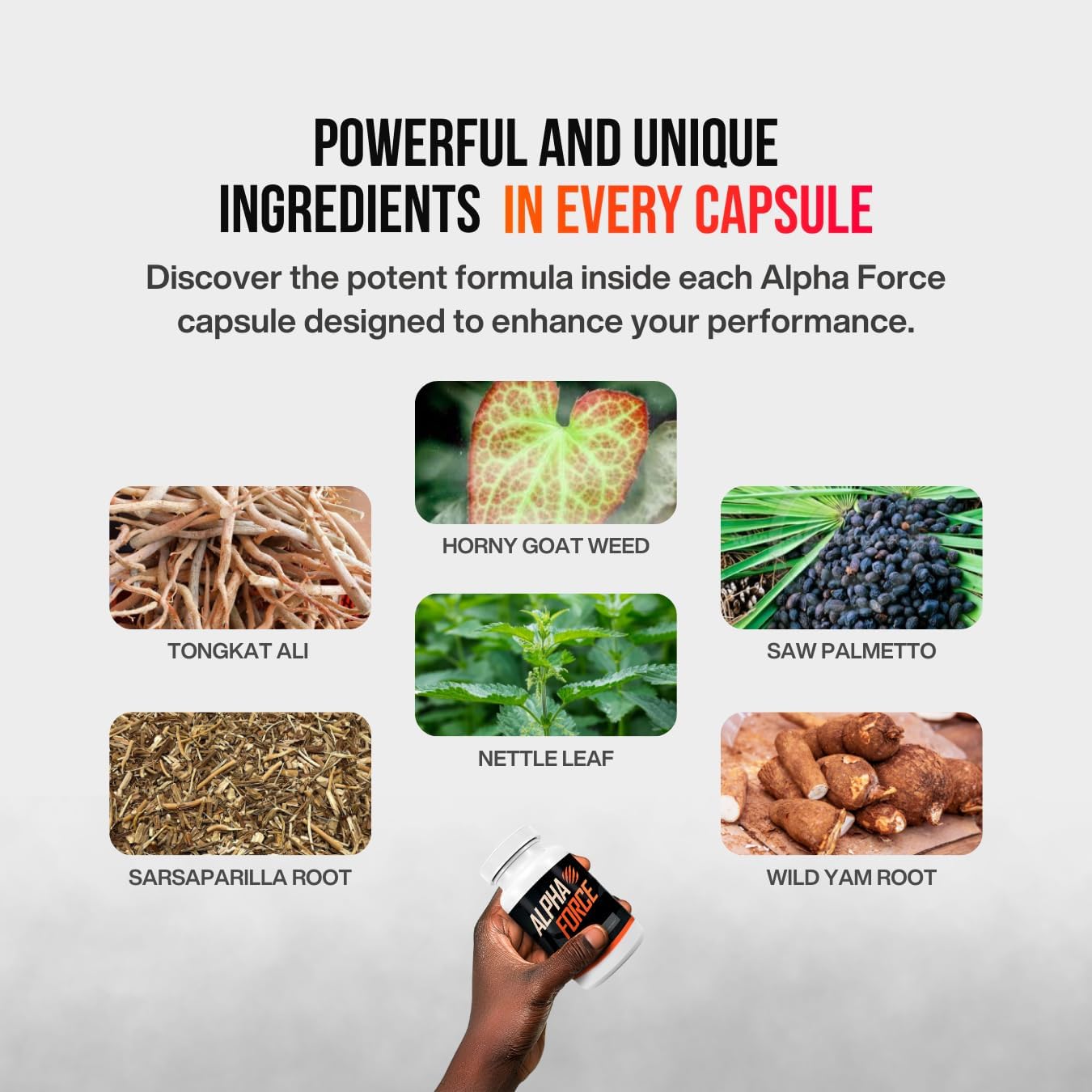 Alpha Force Single Pack - 1 Unit of Powerful Supplement