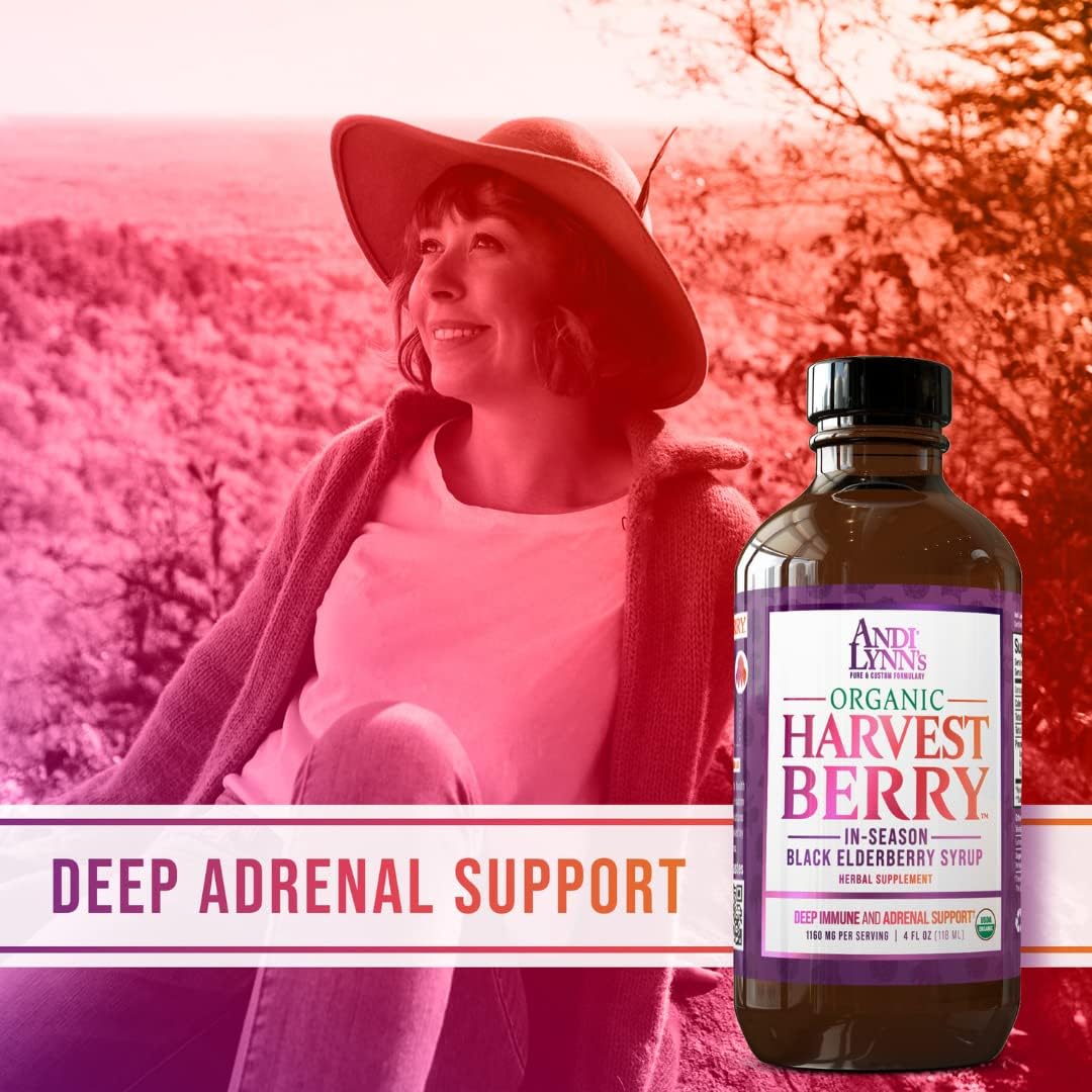 Andi Lynn's Organic Harvest Berry Elderberry Syrup - Immune Support - Custom Formulated with Real Honey - 12 Fl. Oz (3 Pack)