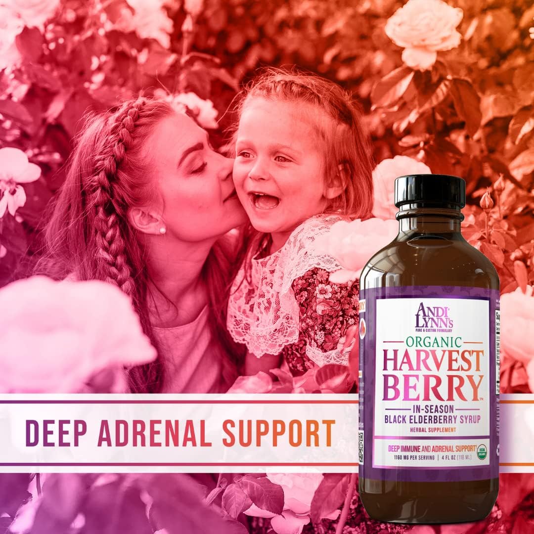 Andi Lynn's Organic Harvest Berry Elderberry Syrup - Immune Support - Custom Formulated with Real Honey - 12 Fl. Oz (3 Pack)