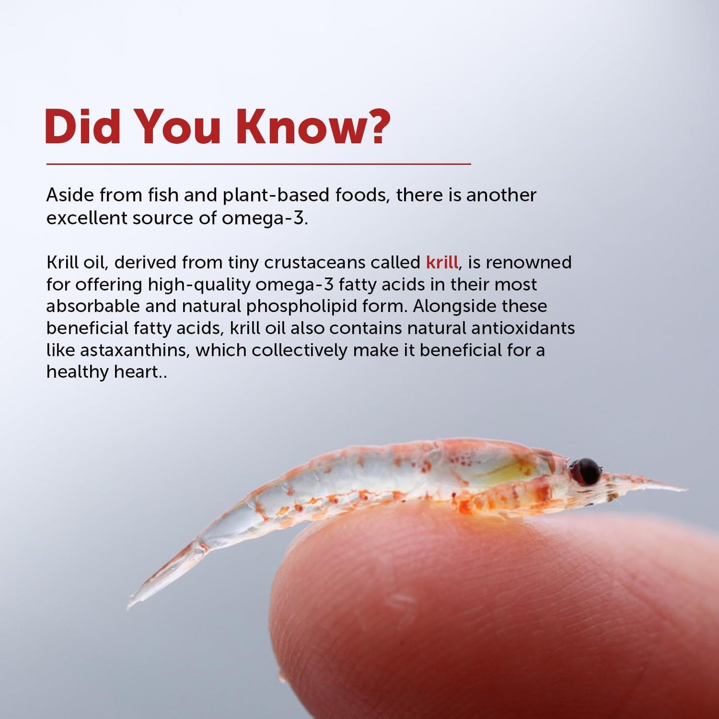Antarctic Krill Oil Softgels 1000mg with Astaxanthin, Vitamin E & D3 - Reduce Triglyceride & Cholesterol - Lemon Flavor - 30 Softgels
