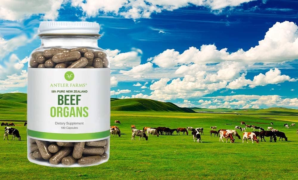 Antler Farms - Premium New Zealand Beef Organ & Bone Marrow Bundle - 180 Capsules - Cold Processed Supplement