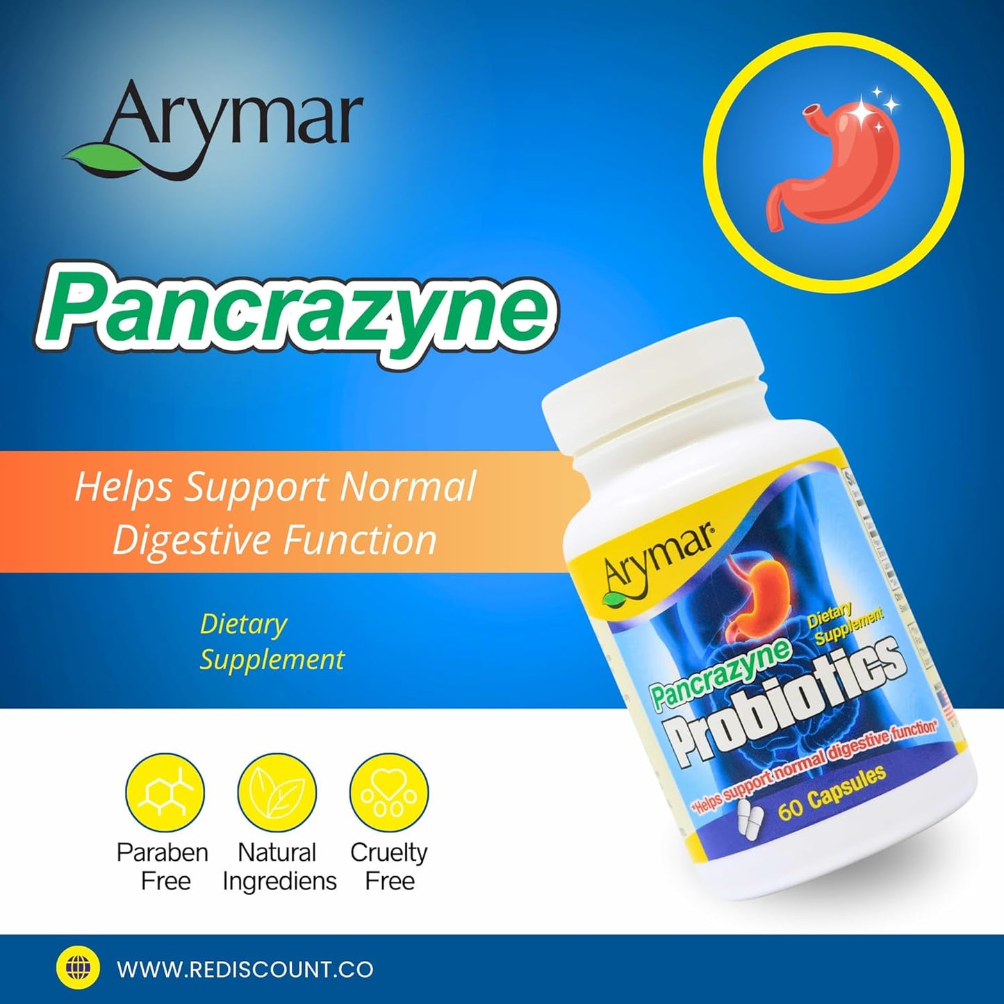 Arymar Pancrazyne Probiotics - 60 Capsules - Support Digestive Health - Dietary Supplement