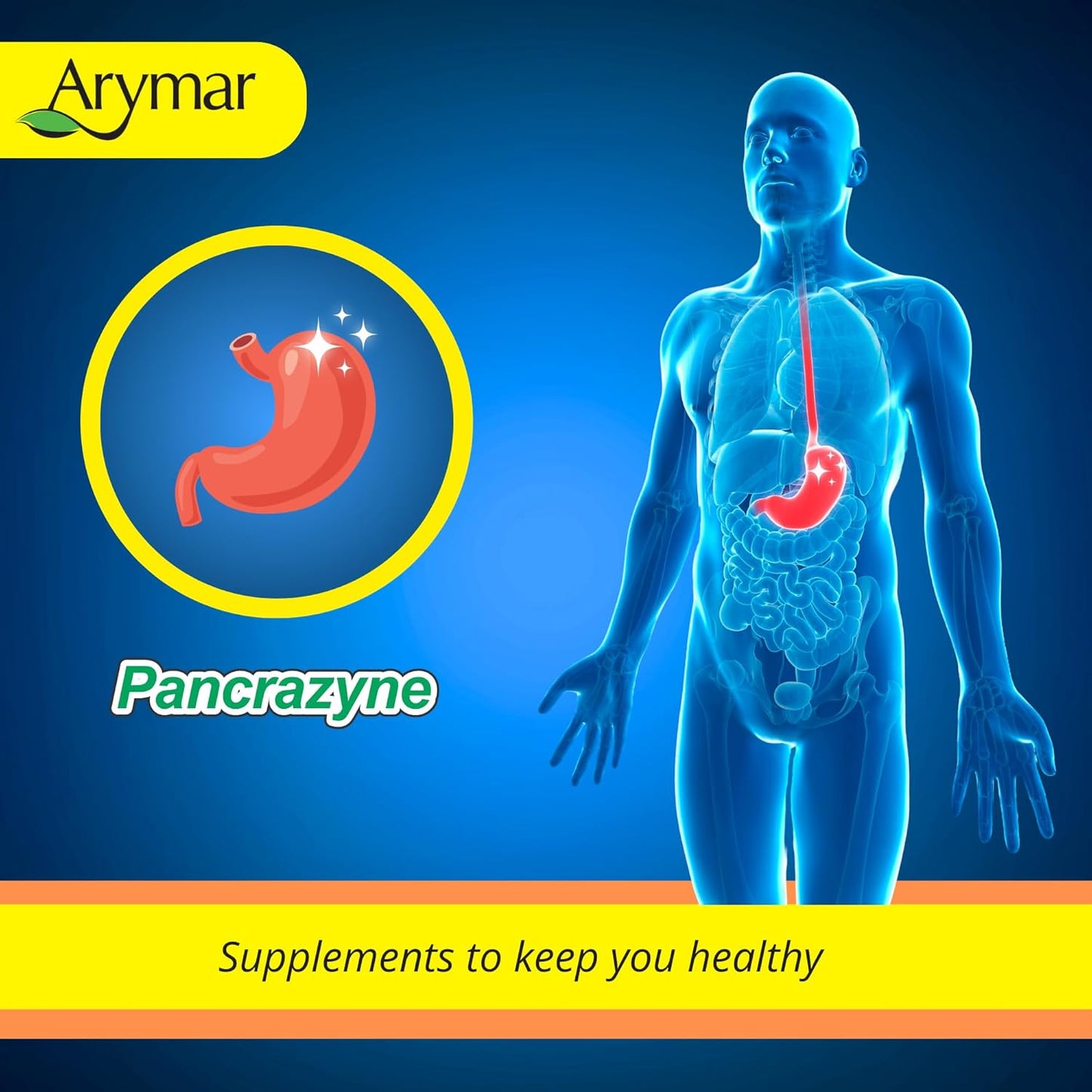 Arymar Pancrazyne Probiotics - 60 Capsules - Support Digestive Health - Dietary Supplement