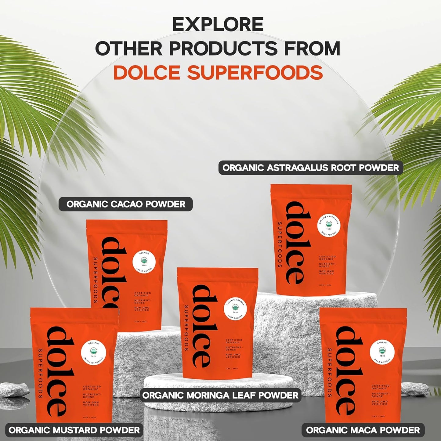 Astragalus Superfood Extract Powder for Immune Support and Health - Single Pack of Astragalus Supplement Powder - Dolce Superfoods