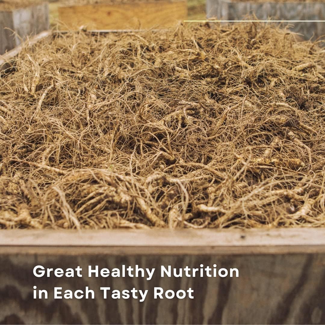 Baumann Wisconsin Ginseng Assorted Whole Roots 4 oz - 100% Natural Panax Ginseng Herb, Pure Dried American Ginseng for Energy Boost