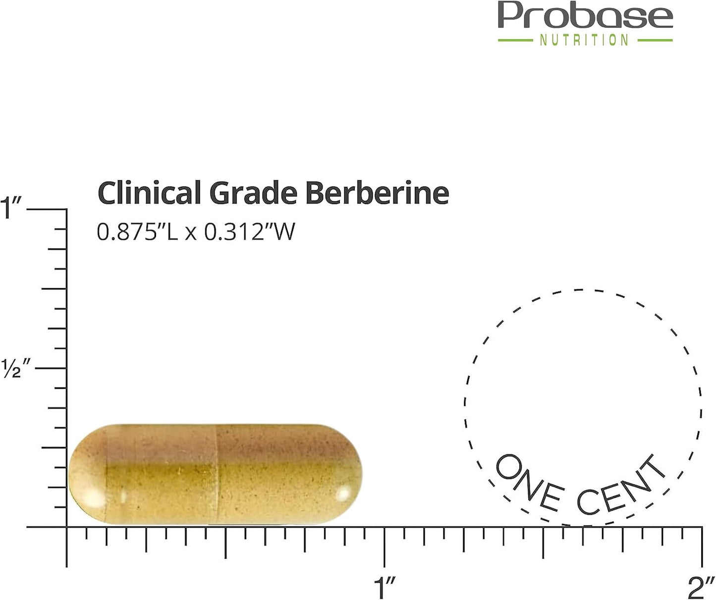 Berberine with Cinnamon Extract Capsules - Gluten Free, Vegan, 1200mg per Serving