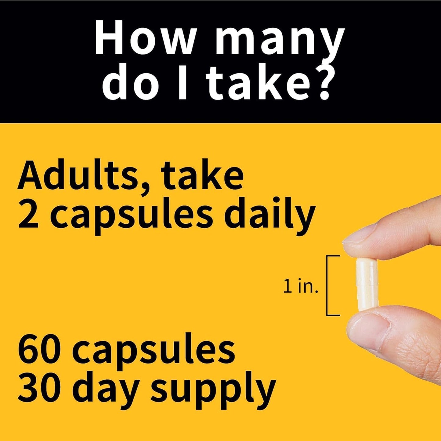 BNHealthy BN Caps - Complete Multivitamin with 22 Essential Nutrients for Men & Women, 240 Capsules, 4-Month Supply