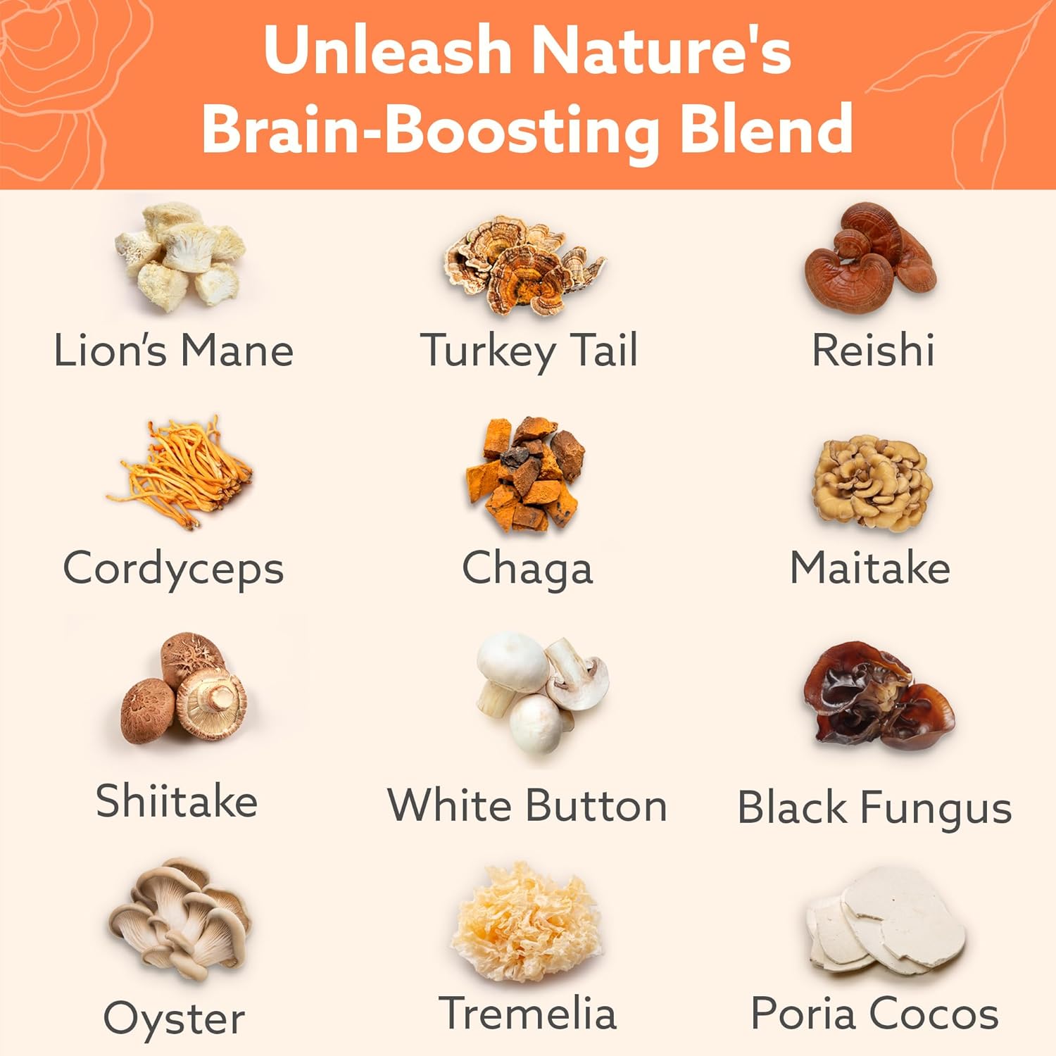 Brain and Immune Support Multi-Mushroom Supplement with Nootropics - Performance Blend of Lions Mane, Turkey Tail, Reishi, Cordyceps, Chaga, Maitake, Shiitake, and More - 60 Capsules