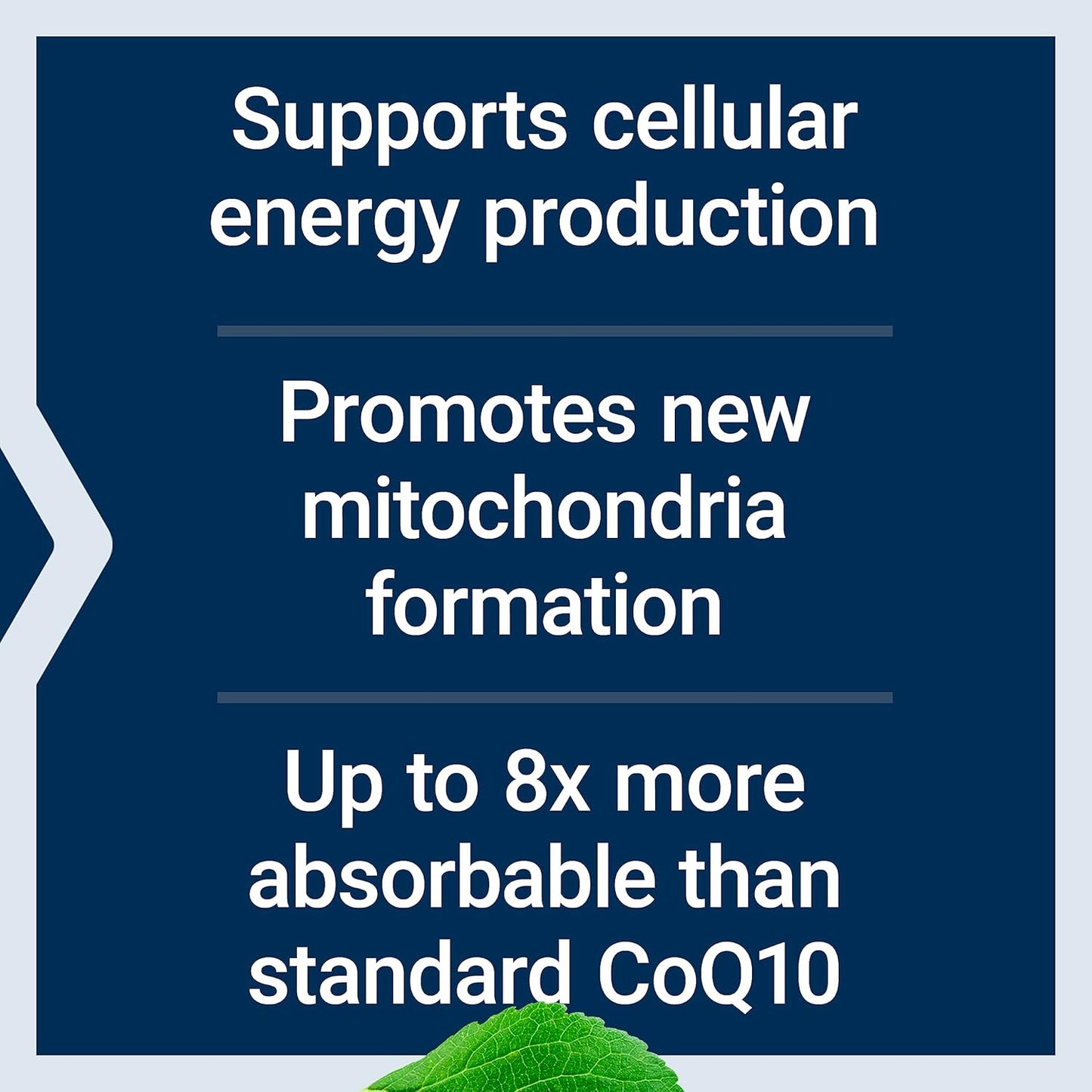 Bundle: Life Extension Super Ubiquinol CoQ10 100mg Softgels + Two-Per-Day High Potency Multivitamin