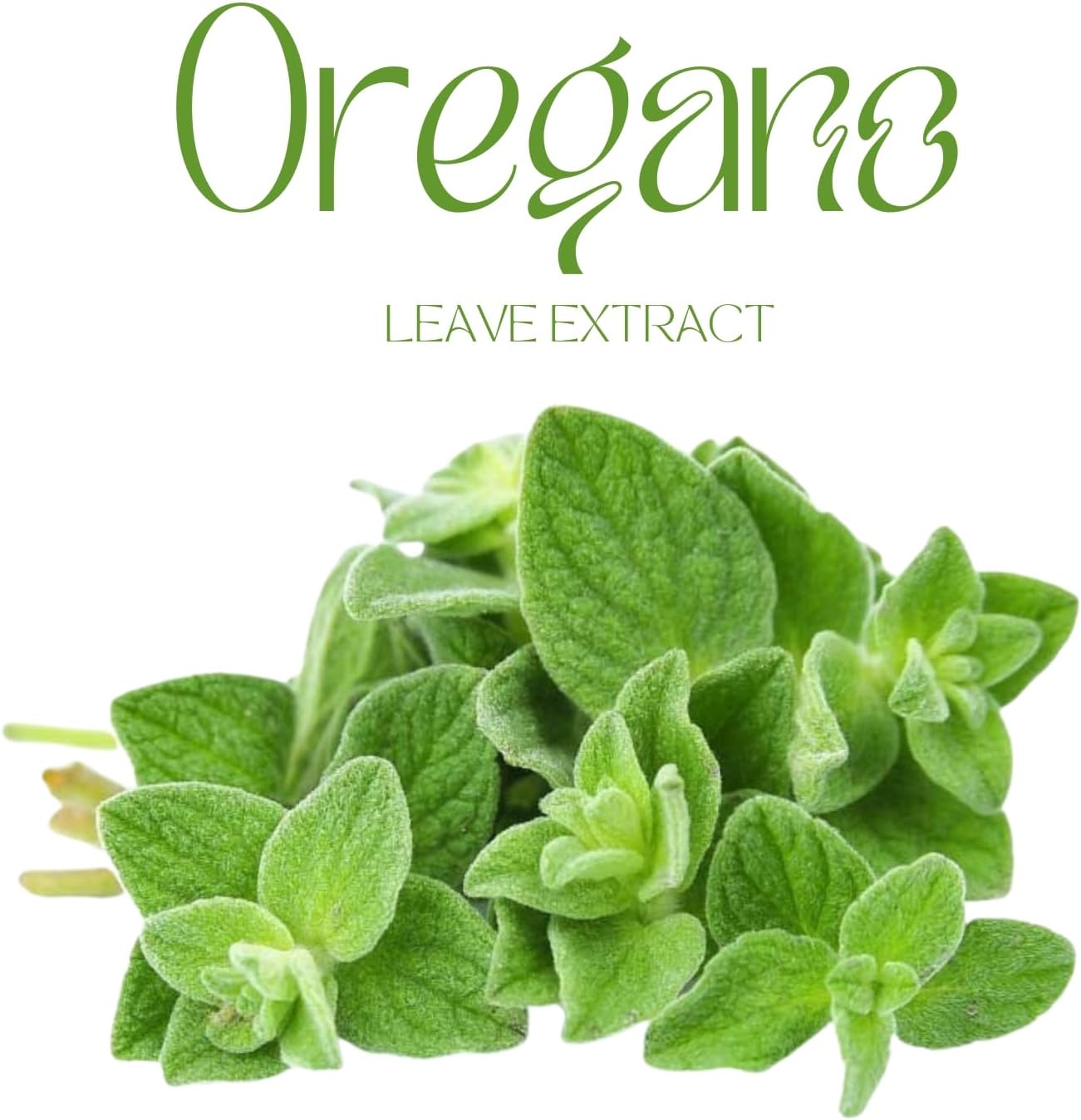 Candida Pro Complex: Botanical Blend for Digestive Health - Oregano, Caprylic Acid, Probiotics - Natural Gut Cleanse