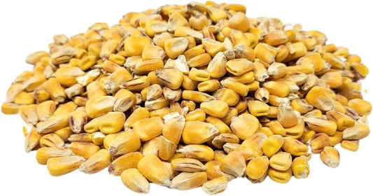 Capcouriers Backyard Wildlife Food: Whole Corn Grain Feed for Chickens, Squirrels, and Critters - 1 Pound