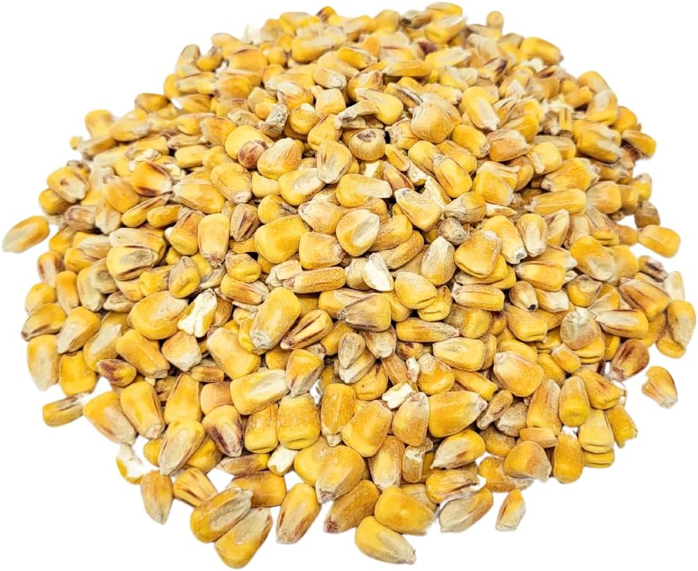Capcouriers Backyard Wildlife Food: Whole Corn Grain Feed for Chickens, Squirrels, and Critters - 1 Pound