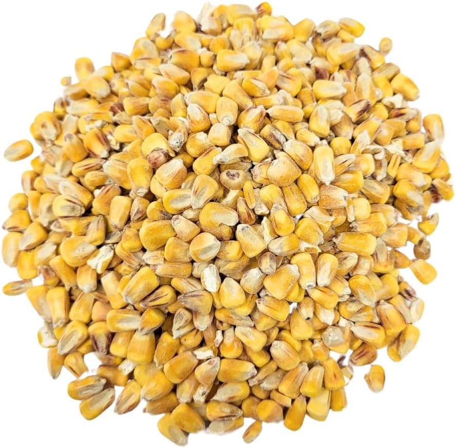 Capcouriers Backyard Wildlife Food: Whole Corn Grain Feed for Chickens, Squirrels, and Critters - 1 Pound