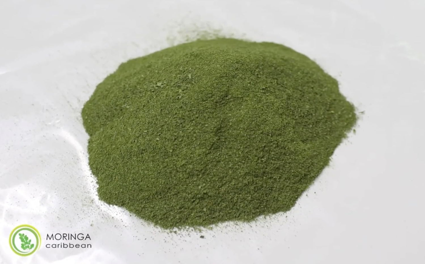 Caribbean Moringa Premium Powder Capsules - 100% Pure Vegan Superfood with Calcium, Magnesium, Vitamins, Antioxidants - Energy, Metabolism, Immune Support - 120 ct