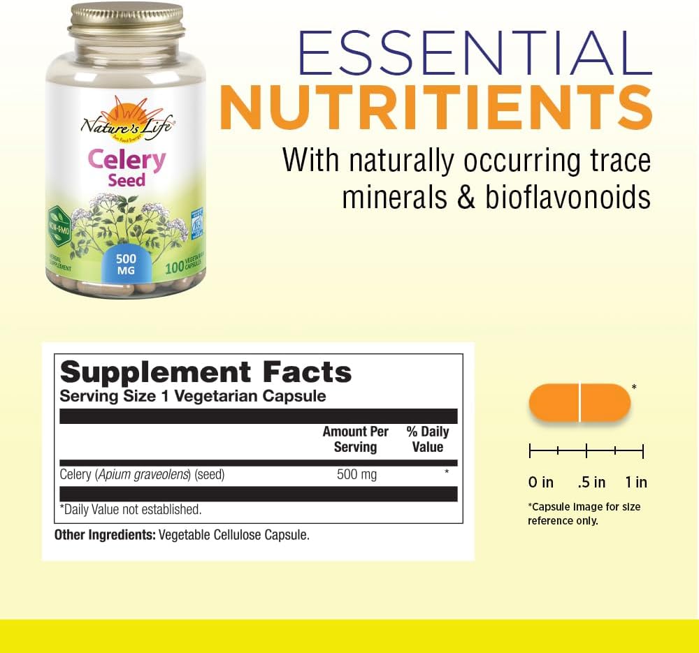 Celery Seed 500mg Capsules for Circulation and Brain Health Support - 100 Count