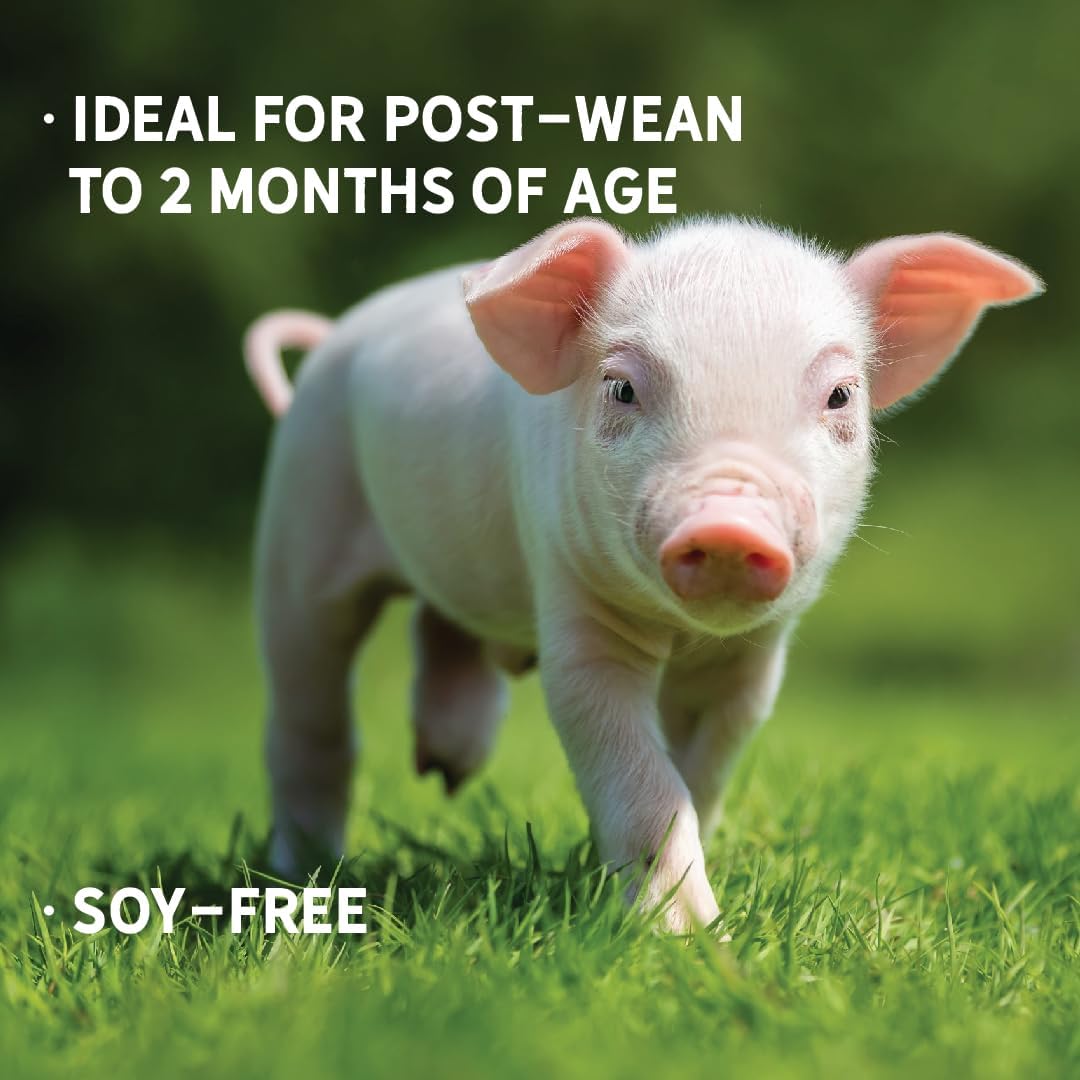 Certified Organic Non-GMO Swine Feed - 16% Protein for Growing Hogs - Soy-Free - 40 lbs