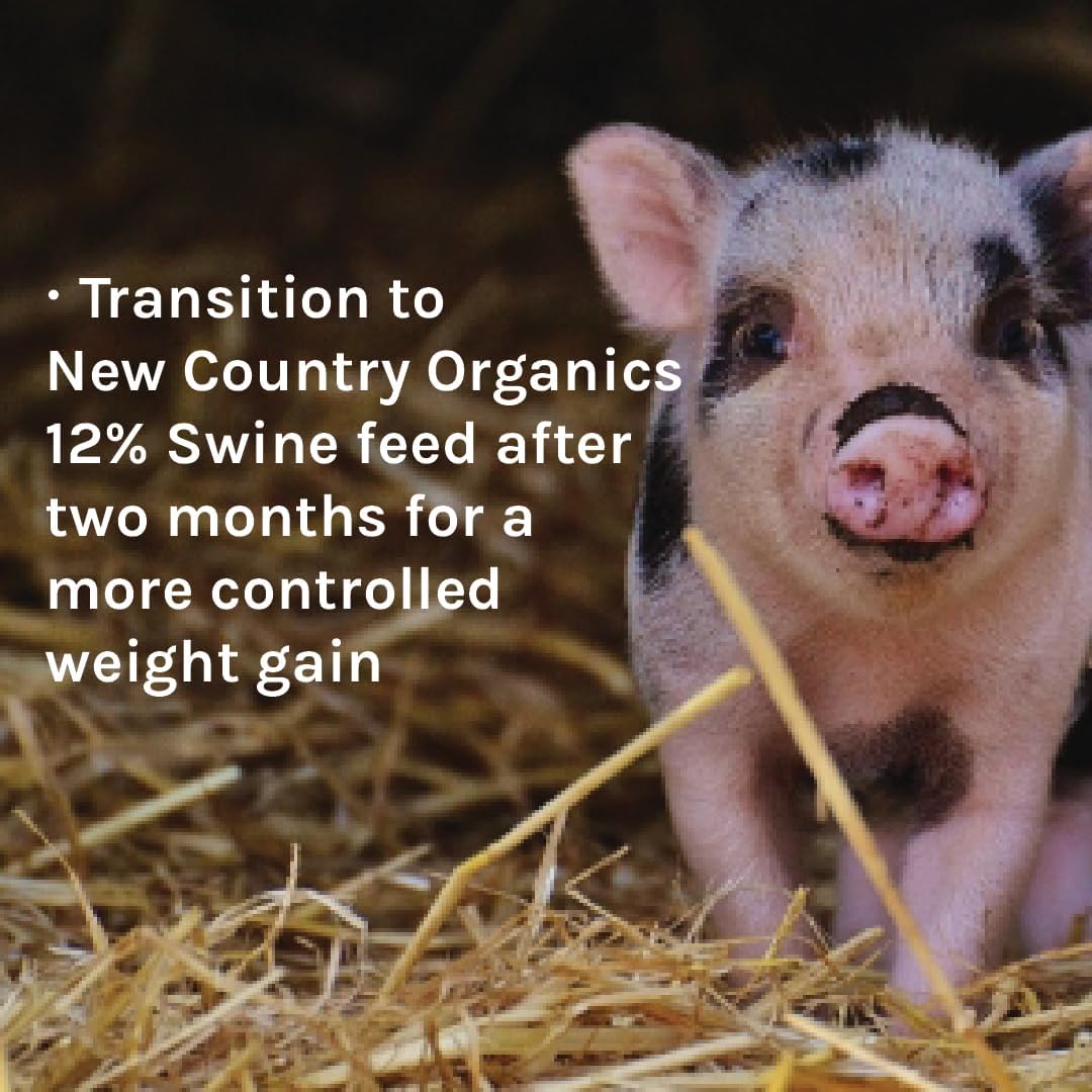 Certified Organic Non-GMO Swine Feed - 16% Protein for Growing Hogs - Soy-Free - 40 lbs