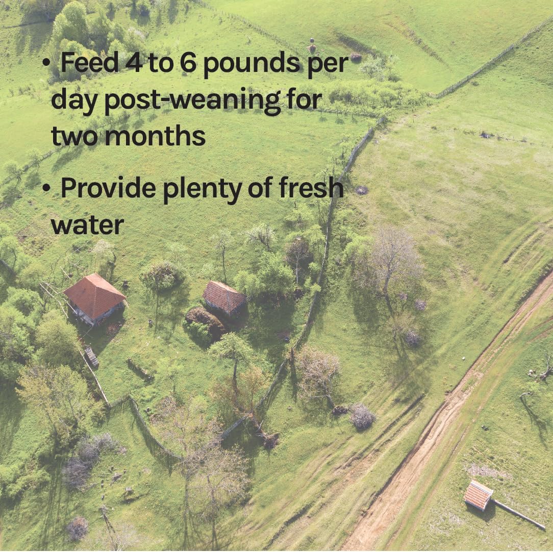 Certified Organic Non-GMO Swine Feed - 16% Protein for Growing Hogs - Soy-Free - 40 lbs