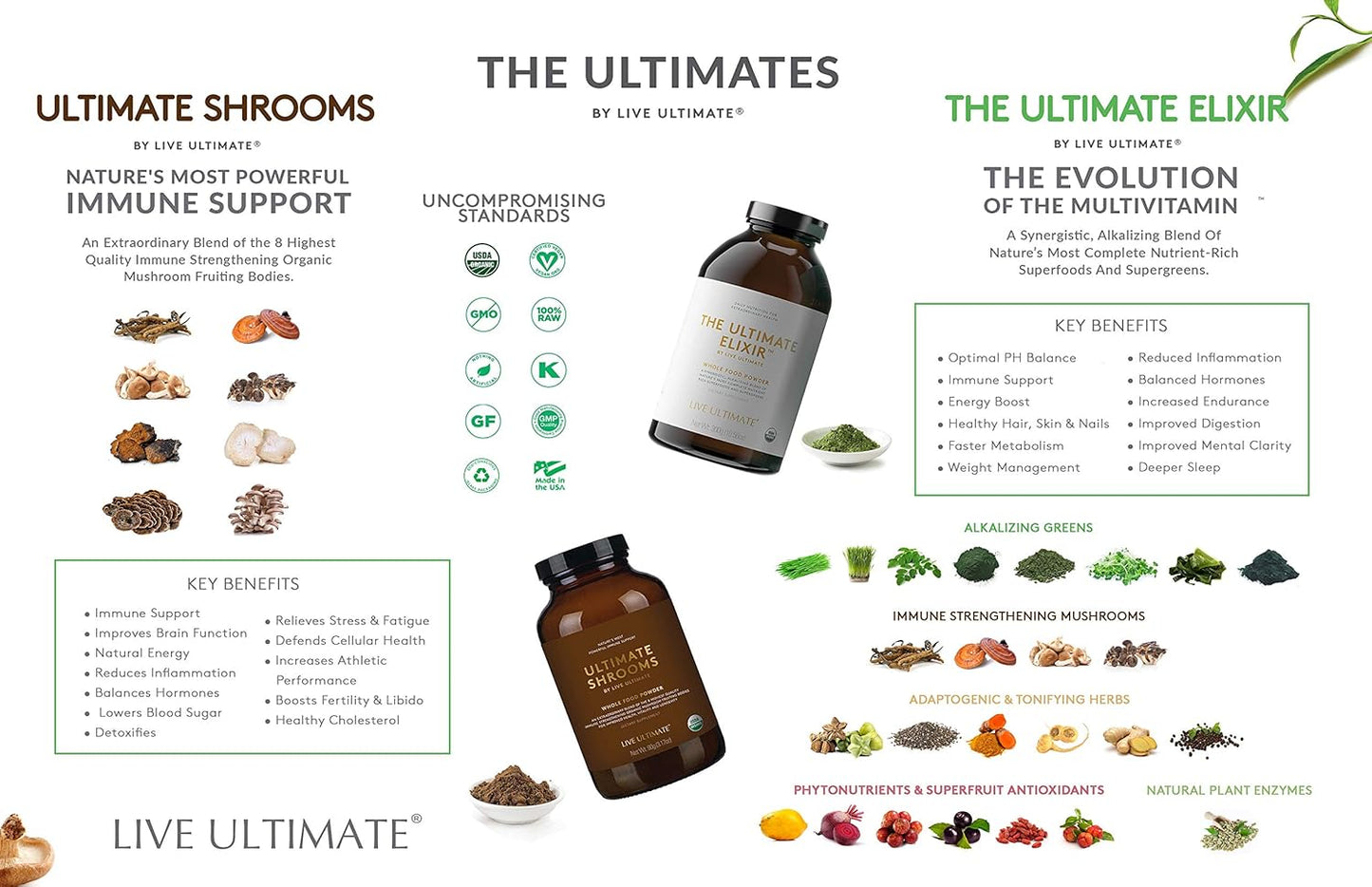 Certified USDA Whole Food Mushroom Extract Powder with Chaga, Cordyceps, Reishi - Natural Energy, Immune Support, Detox - 8 Organic Mushrooms