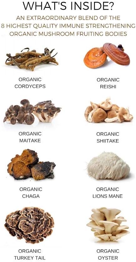 Certified USDA Whole Food Mushroom Extract Powder with Chaga, Cordyceps, Reishi - Natural Energy, Immune Support, Detox - 8 Organic Mushrooms