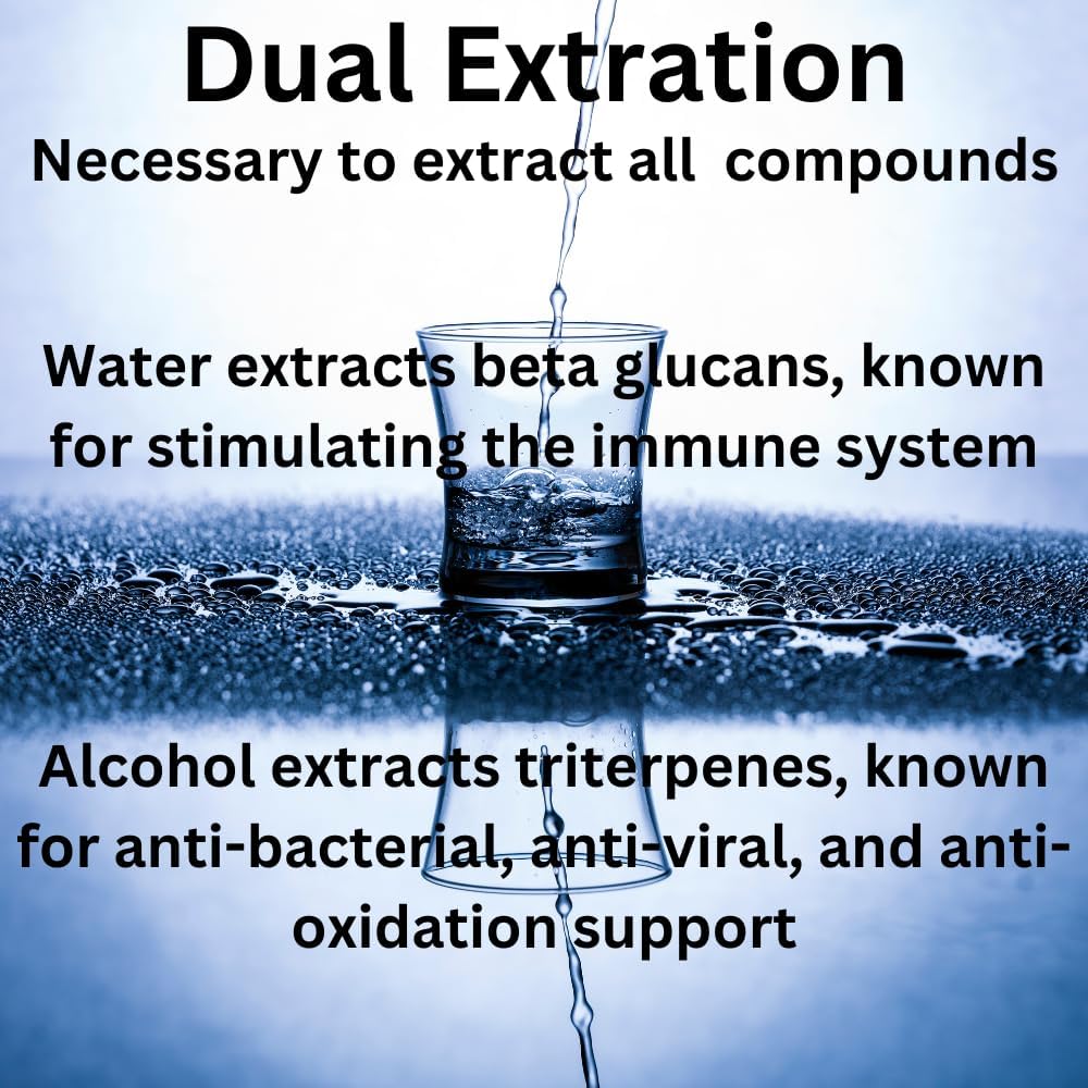 Chaga Mushroom Extract Liquid Tincture - Double Extracted for Maximum Potency - 2 Fl. oz.