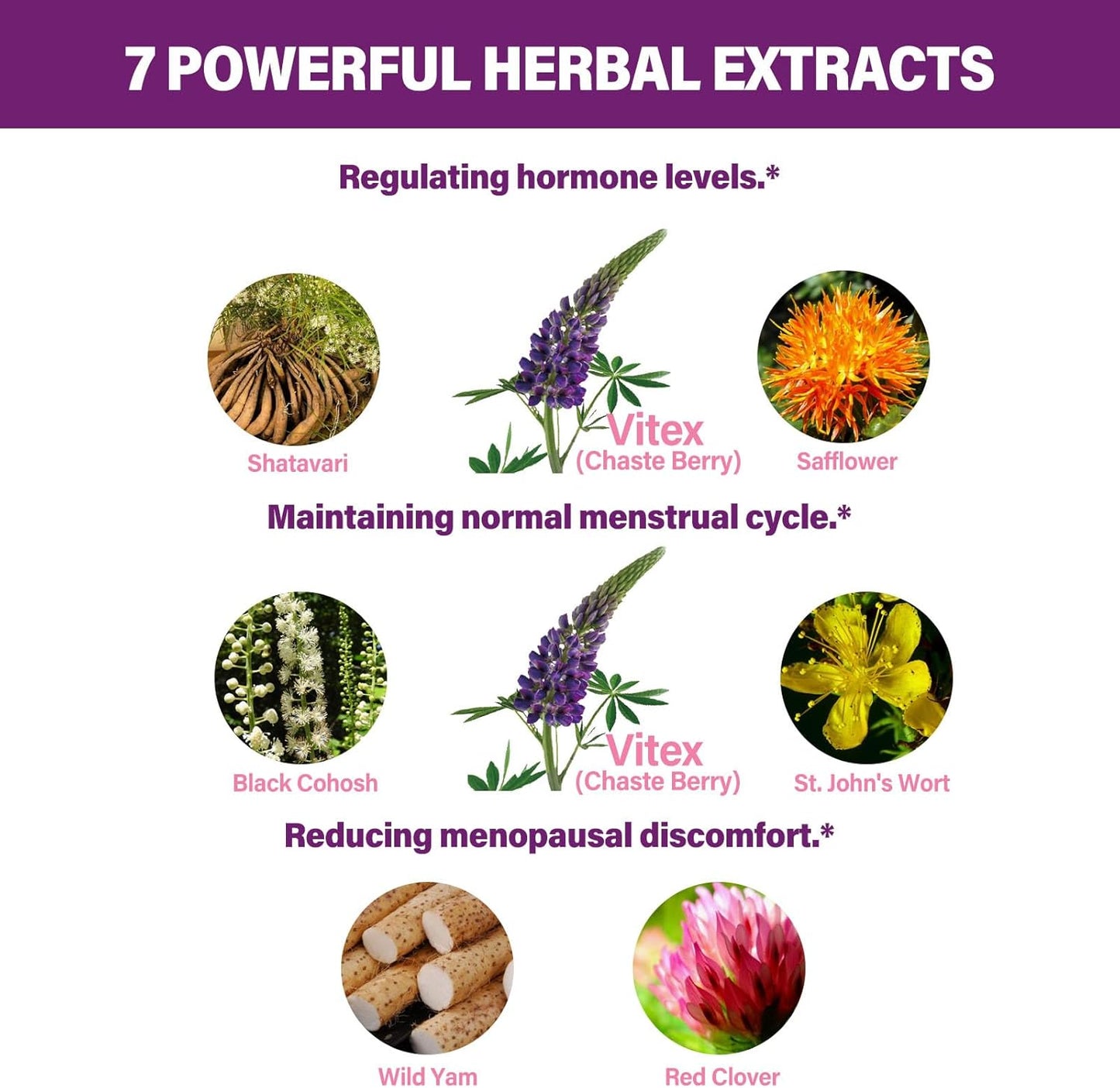 Chaste Berry Herbal Extract Drops for Hormonal Balance & Menstrual Support - 2oz
