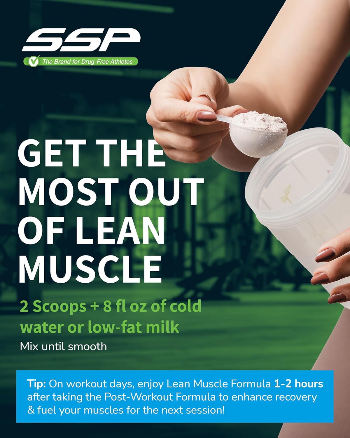 Chocolate Meal Replacement with Whey Isolate, Casein, Leucine & MCT - Low-Calorie Protein for Lean Muscle