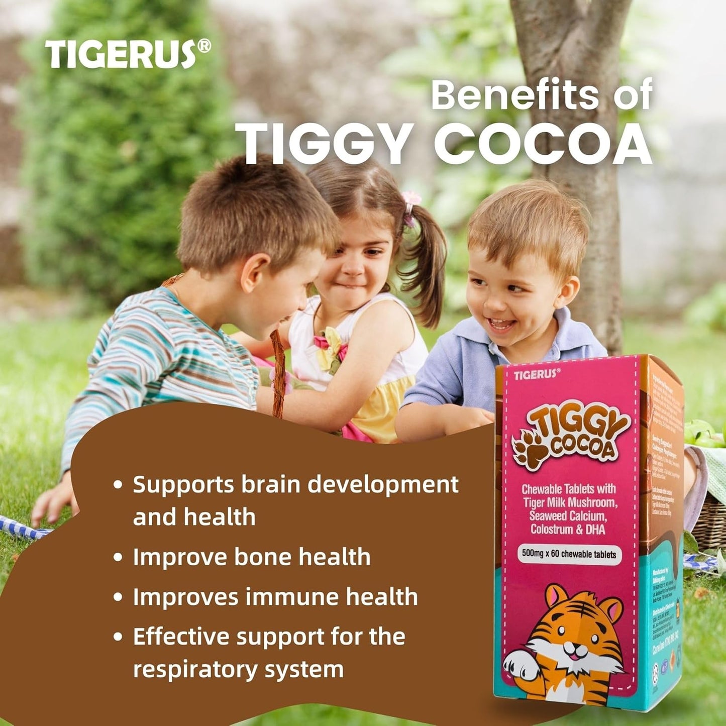Cocoa Chewable Tablets with Tiger Milk Mushroom for Energy & Wellness - 60 Tablets for Kids & Adults