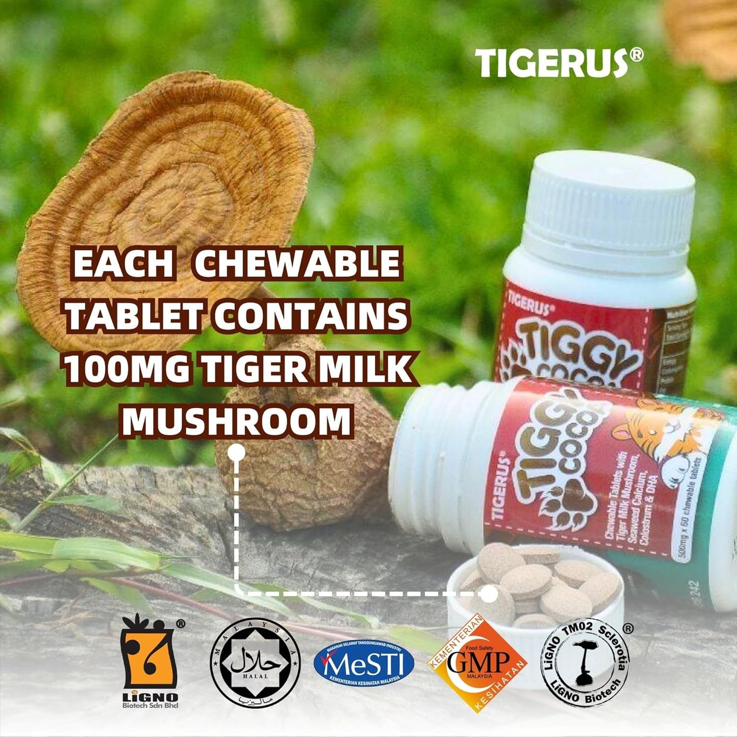 Cocoa Chewable Tablets with Tiger Milk Mushroom for Energy & Wellness - 60 Tablets for Kids & Adults