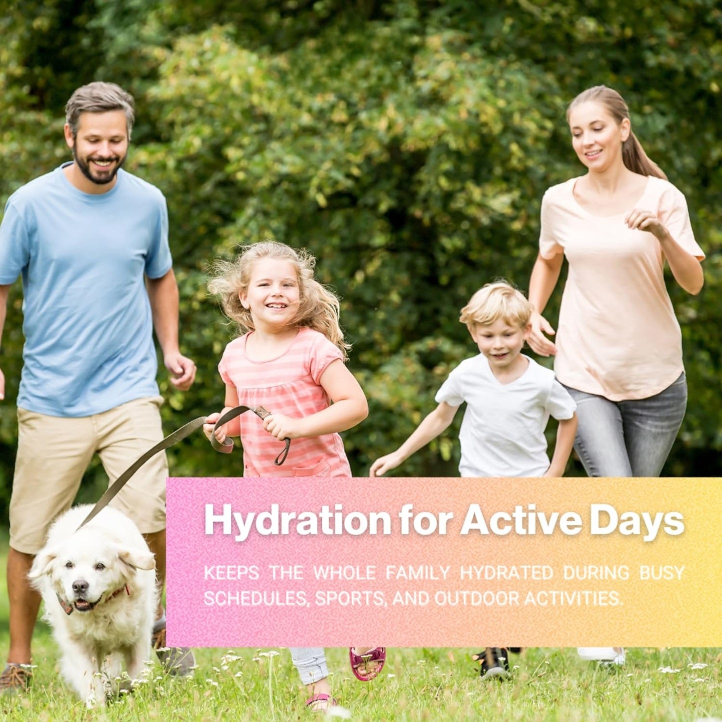 Collagen & Electrolyte Hydration Powder - Sugar-Free, Non-GMO, Gluten-Free, Paleo - Citrus Splash - 30 Servings