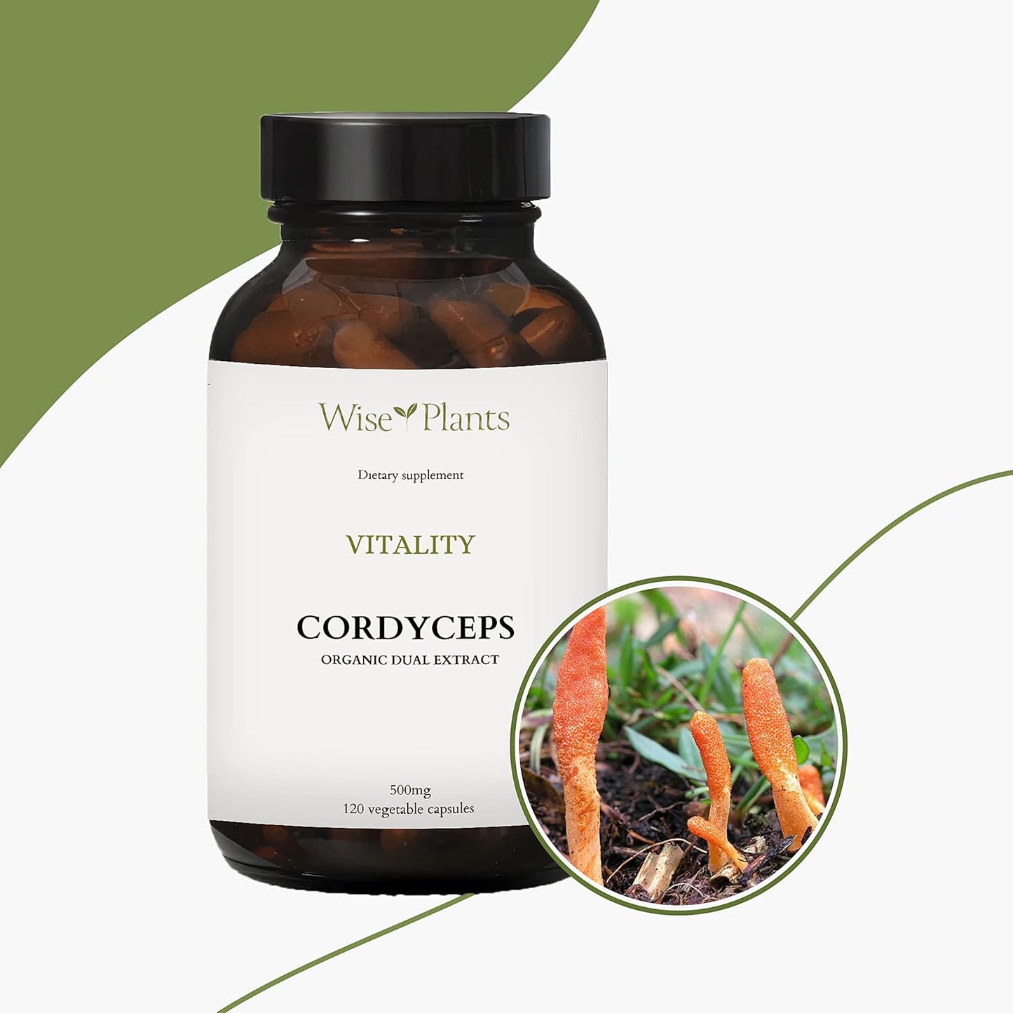 Cordyceps Mushroom Supplement - 30% Polysaccharides, 500mg, 120 Vegecaps - Energy, Stamina, Recovery, High-Altitude Support