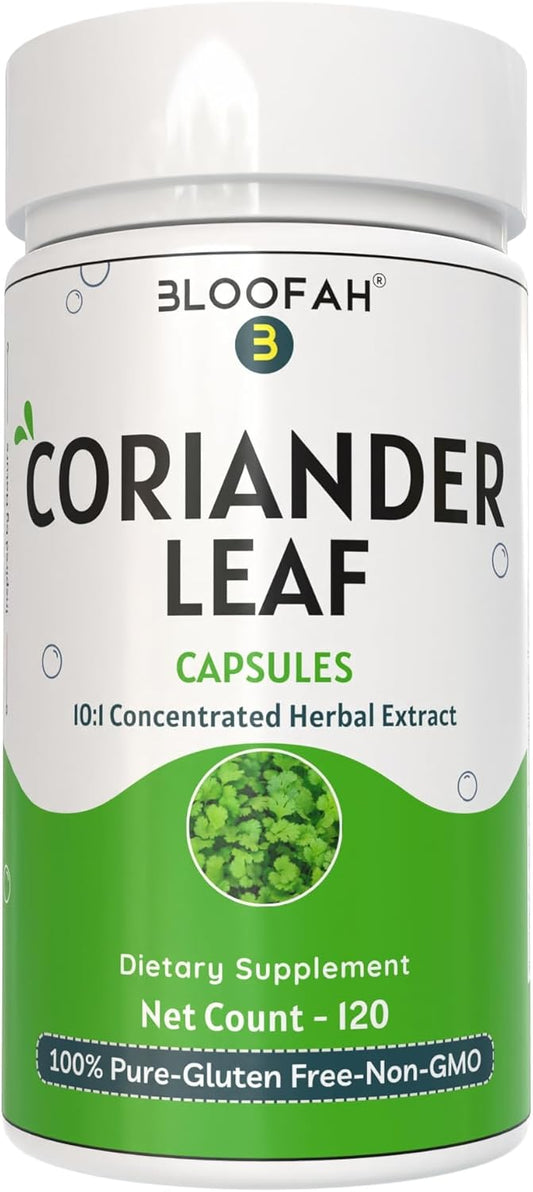 Coriander Leaf Capsules 500mg | Concentrated 10:1 Extract | Non-GMO, Gluten-Free | GMP-Certified Herbal Supplement (120 Count)