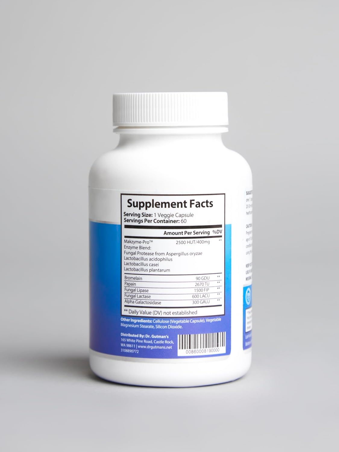 Digestive Enzyme & Probiotic Synbiotic Capsules for Enhanced Nutrient Absorption - All-Natural Digestive Health Support with Bromelain, Papain, Lipase, Lactase & Galactosidase, 60 Veggie Caps