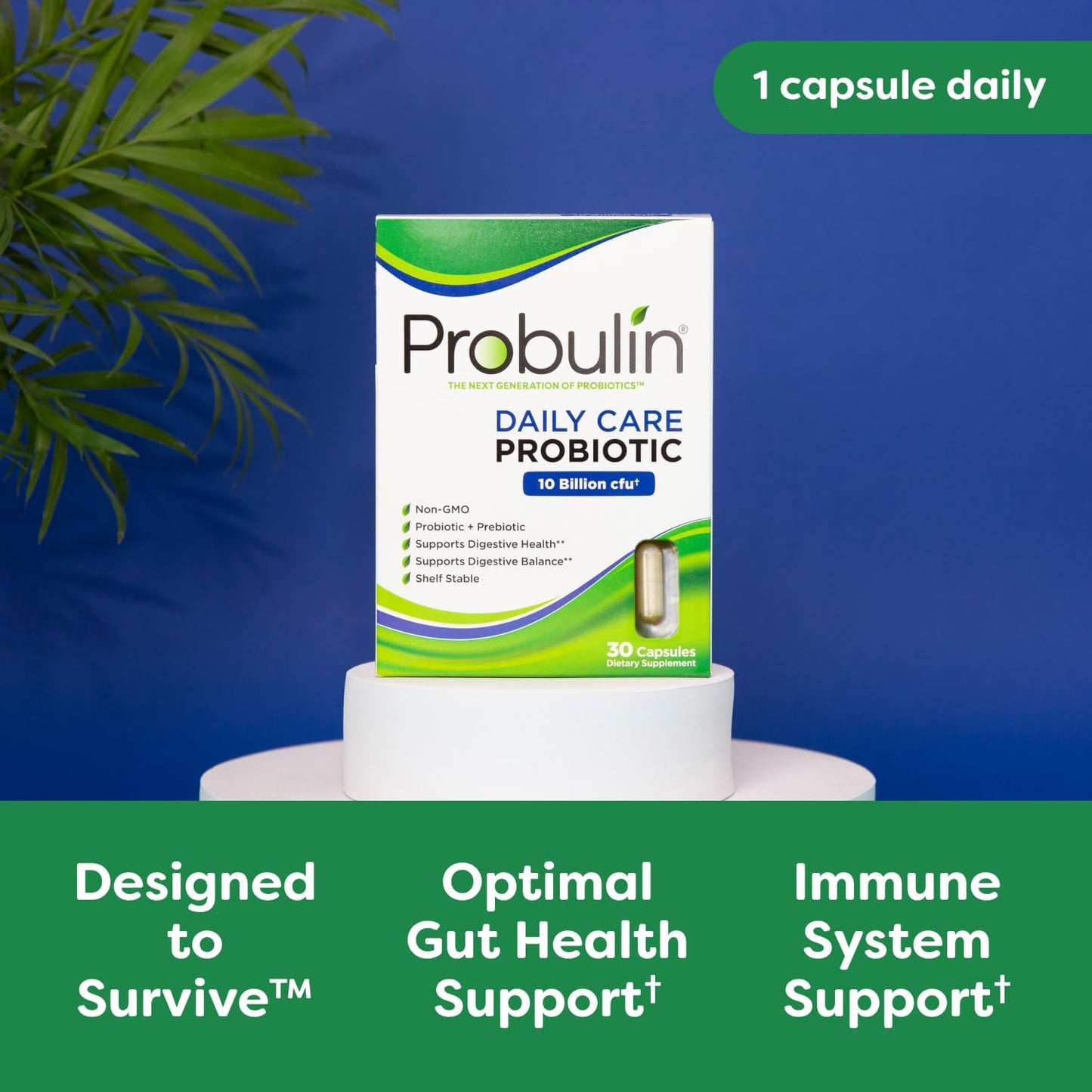Doctor Formulated Probulin Daily Care Probiotic - 10 Billion CFU - 12 Strains - 60 Vegan Capsules x3 - Digestive & Immune Support