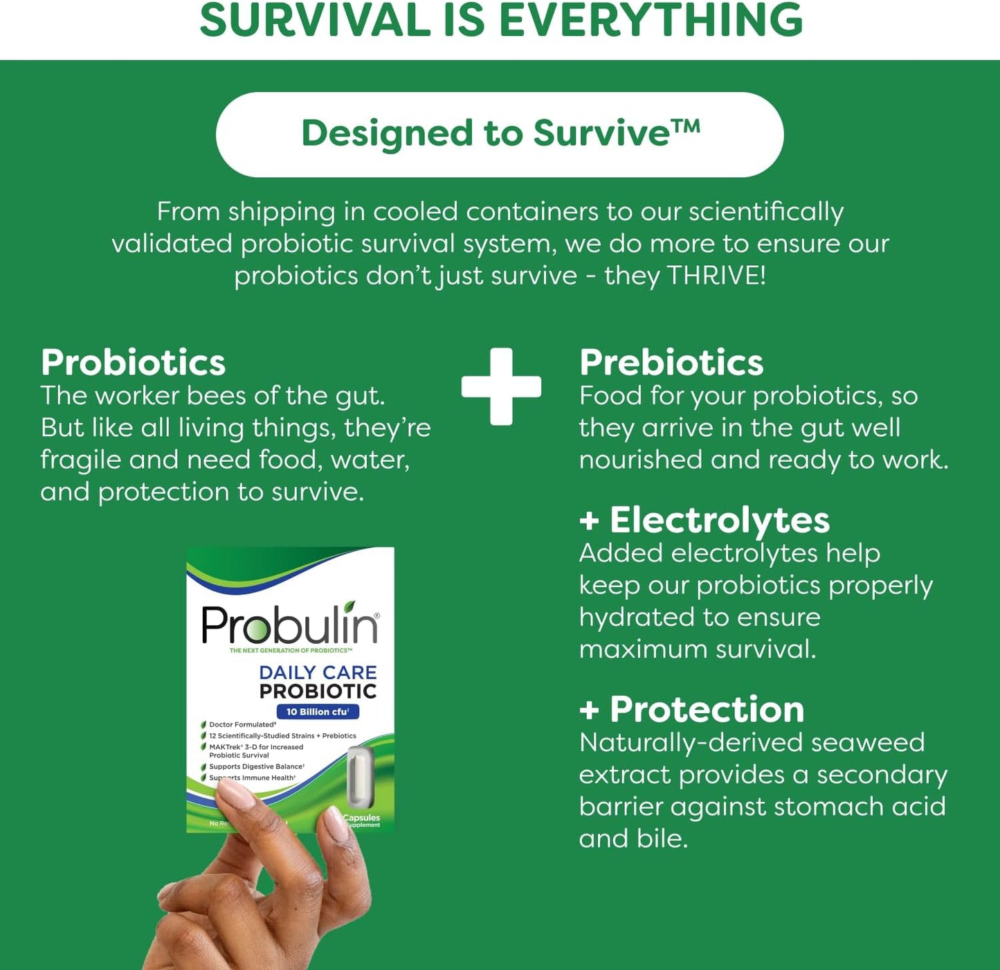Doctor Formulated Probulin Daily Care Probiotic - 10 Billion CFU - 12 Strains - 60 Vegan Capsules x3 - Digestive & Immune Support