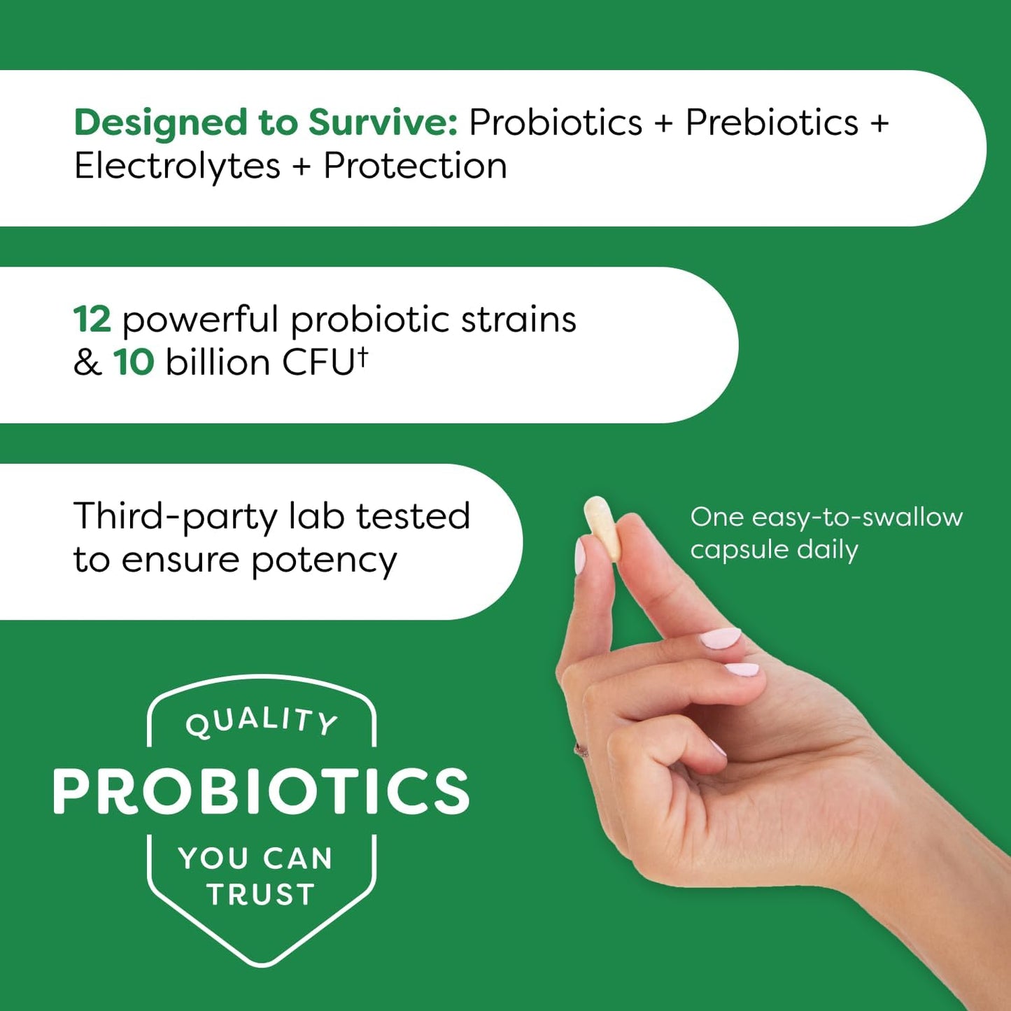 Doctor Formulated Probulin Daily Care Probiotic - 10 Billion CFU - 12 Strains - 60 Vegan Capsules x3 - Digestive & Immune Support