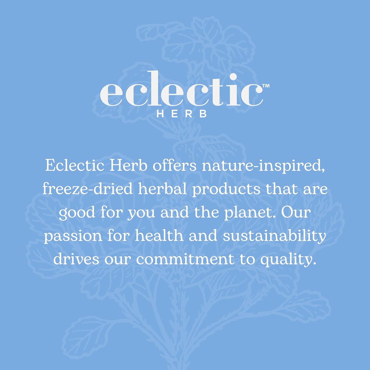 Eclectic Institute Elderberry Immune Formula 90 Capsules