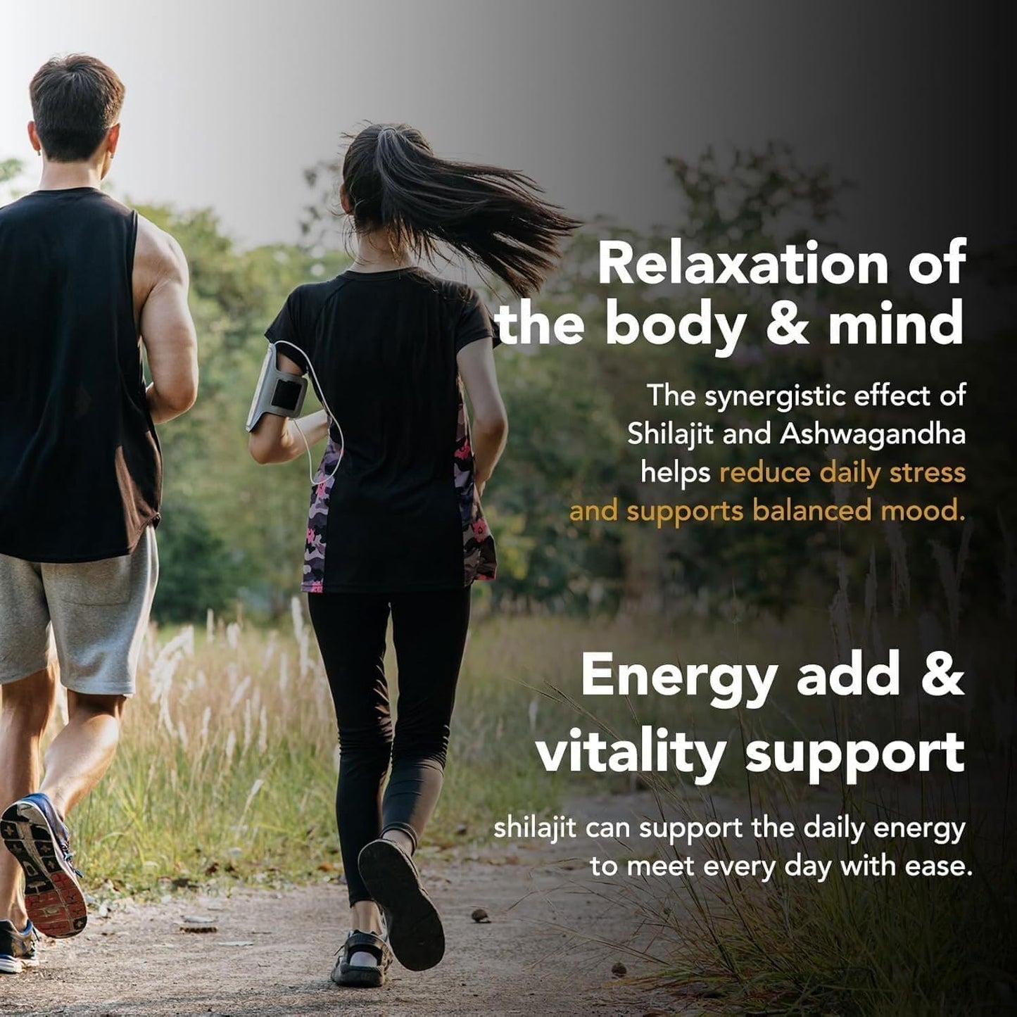 Energy-Boosting Himalayan Shilajit Gummies with Honey, Immune Support, Trace Minerals, Fulvic Acid - 60 Gummies for Health Conscious Individuals