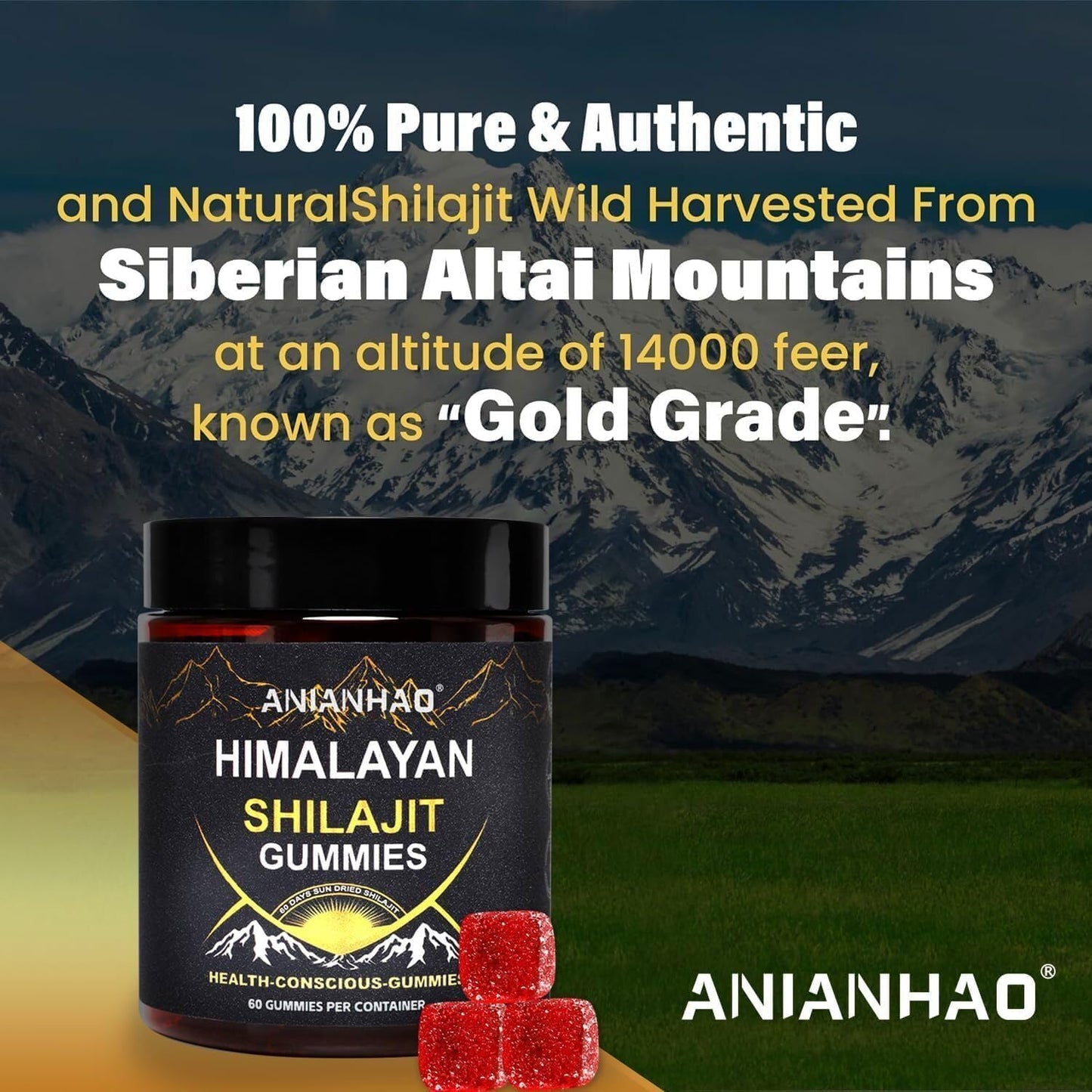 Energy-Boosting Himalayan Shilajit Gummies with Honey, Immune Support, Trace Minerals, Fulvic Acid - 60 Gummies for Health Conscious Individuals