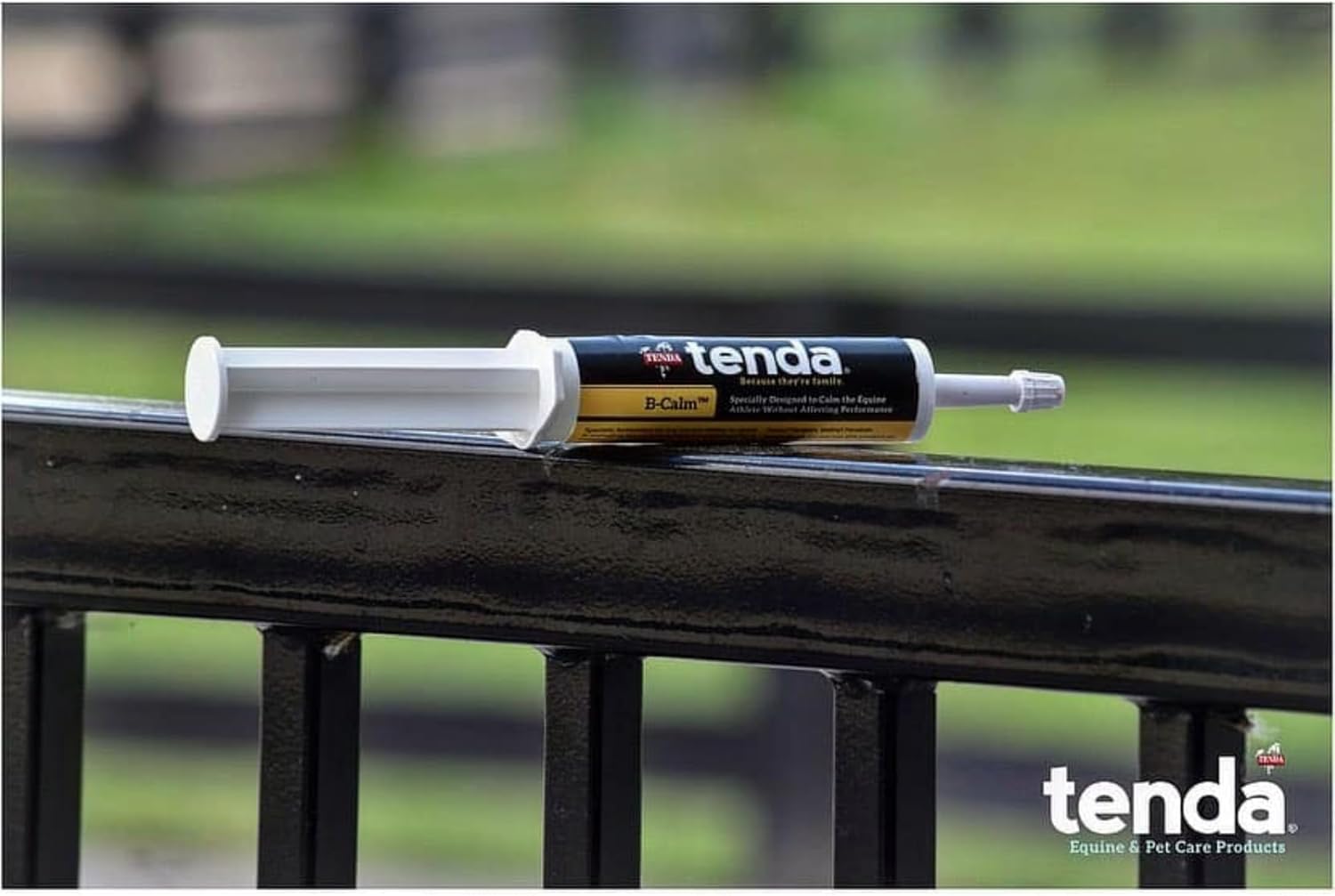 Equine Athlete Calming Paste - B-Calm Formula for Performance-Enhancing Calmness in Horses