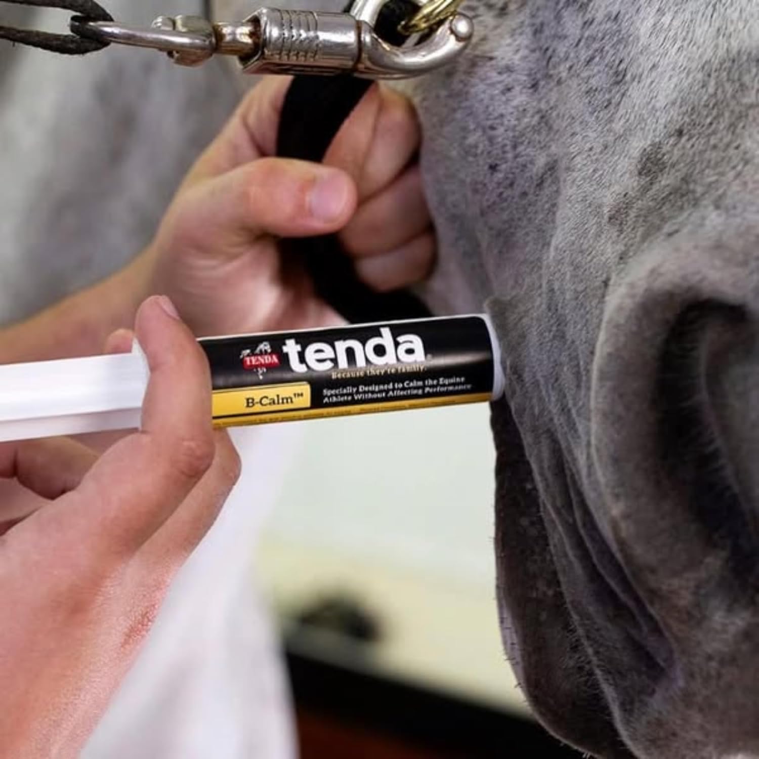 Equine Athlete Calming Paste - B-Calm Formula for Performance-Enhancing Calmness in Horses