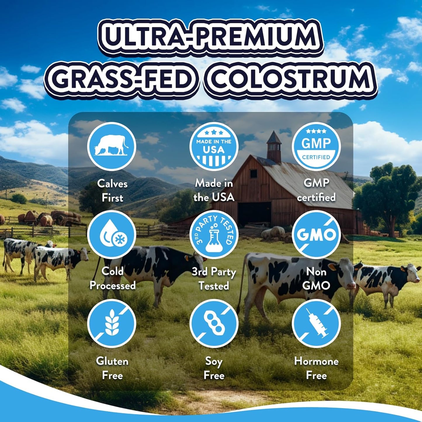 Equip Foods Core Colostrum Gummies - 1g Ultra-Premium Grass Fed Colostrum - Gut Health, Immunity, Hair and Skin Support - Peach Mango & Raspberry Flavor - Convenient Pack of 1