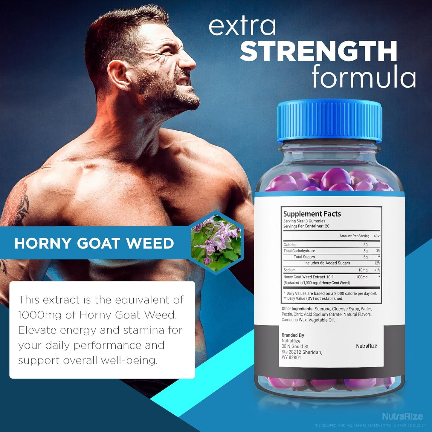 Erectifil 1000 MG Gummies (2 Pack) for Men - All-Natural Male Supplement for Health and Performance - 120 Gummies