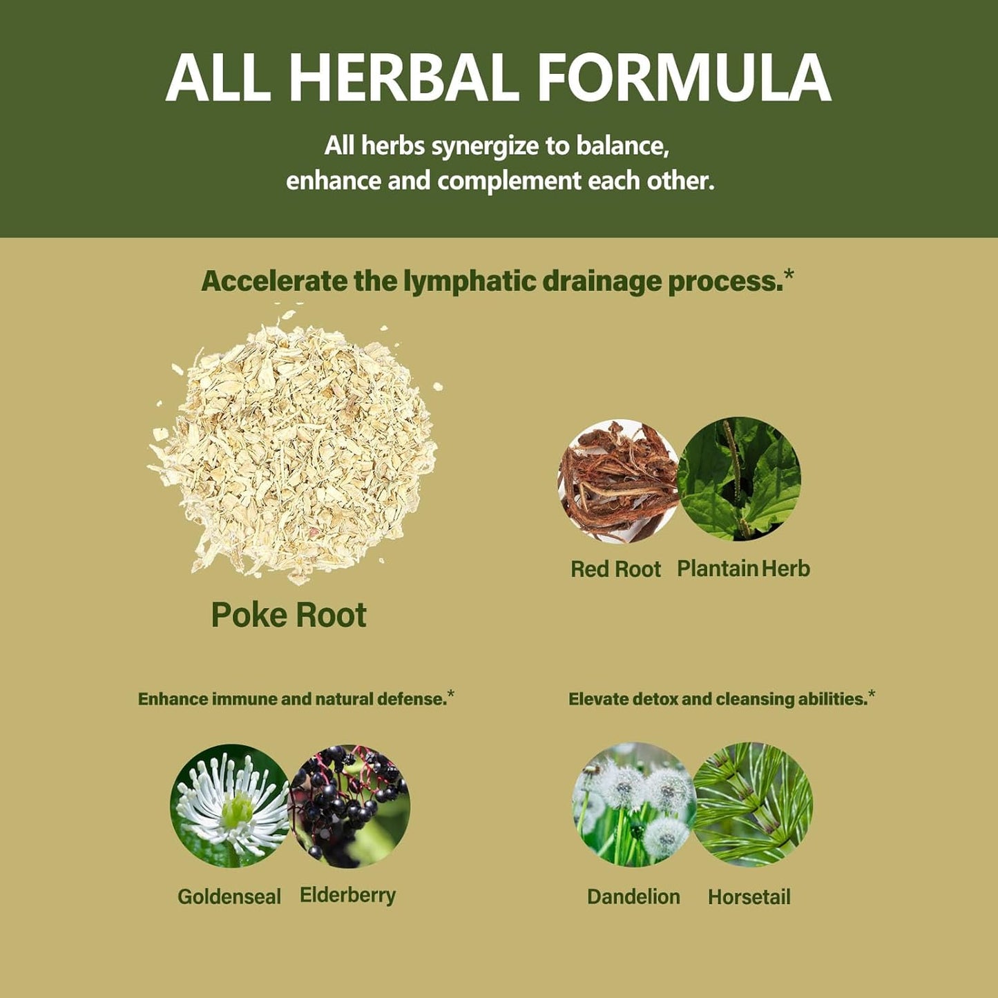 Eubrition Poke Root Herbal Extract Drops for Lymphatic Drainage & Immune System Support - 2oz
