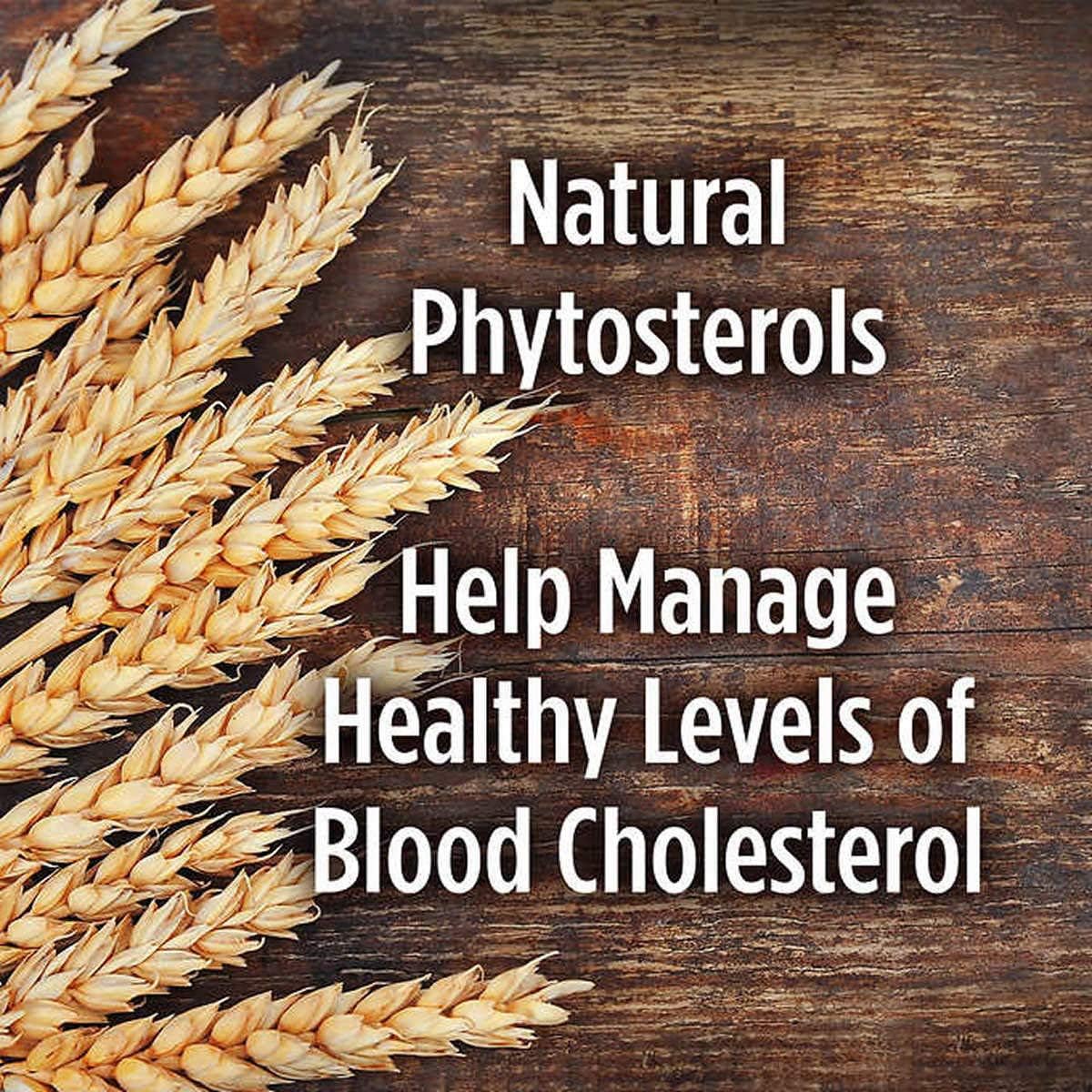 Evaxo Red Yeast Rice Plus 1200mg, 240 Tablets with Plant Phytosterols 850mg per Serving - Natural Cholesterol Support