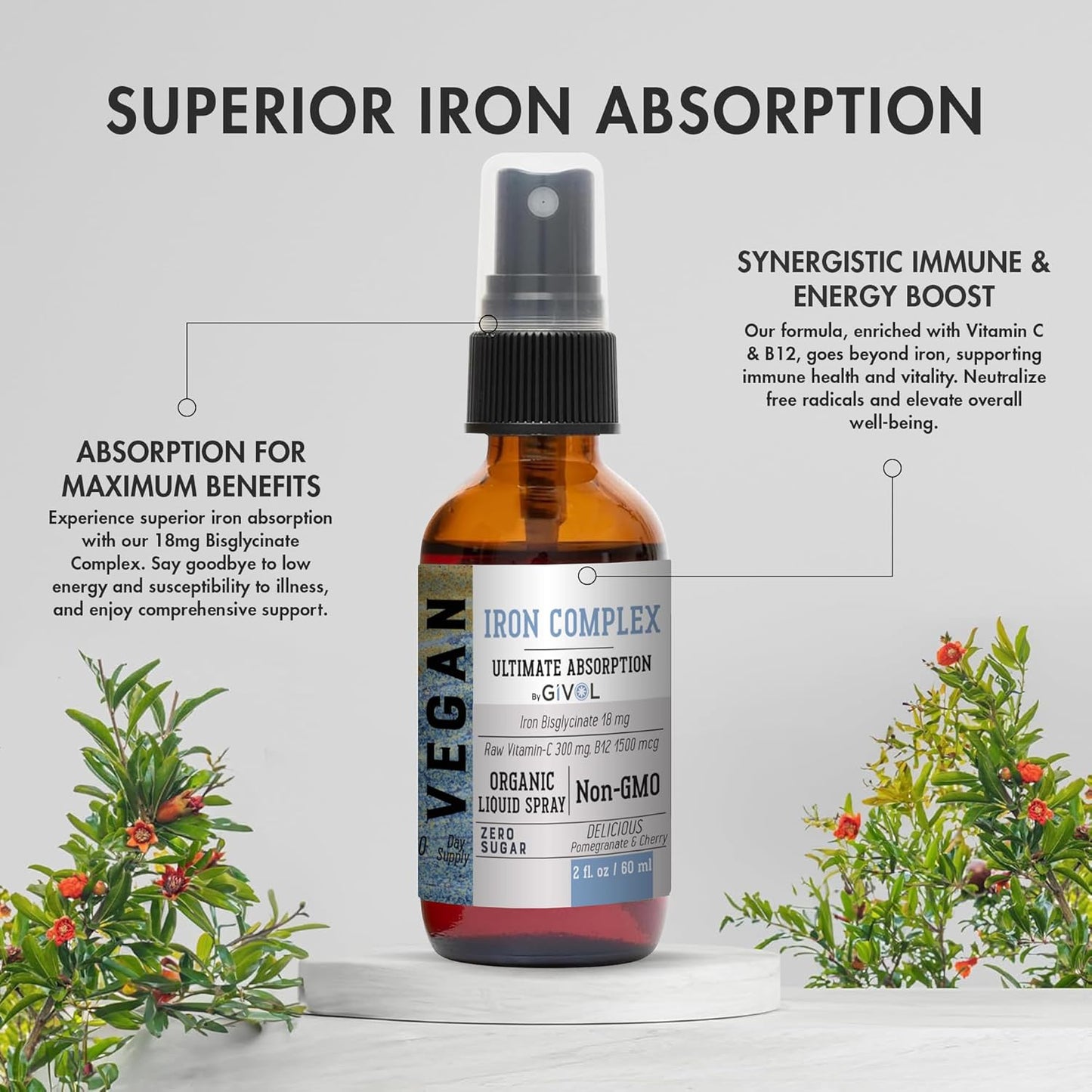 Extra Strength Iron Supplement with Vitamin C, B12, and Zinc Boost Mist for Energy, Immunity, and Elderberry Extract