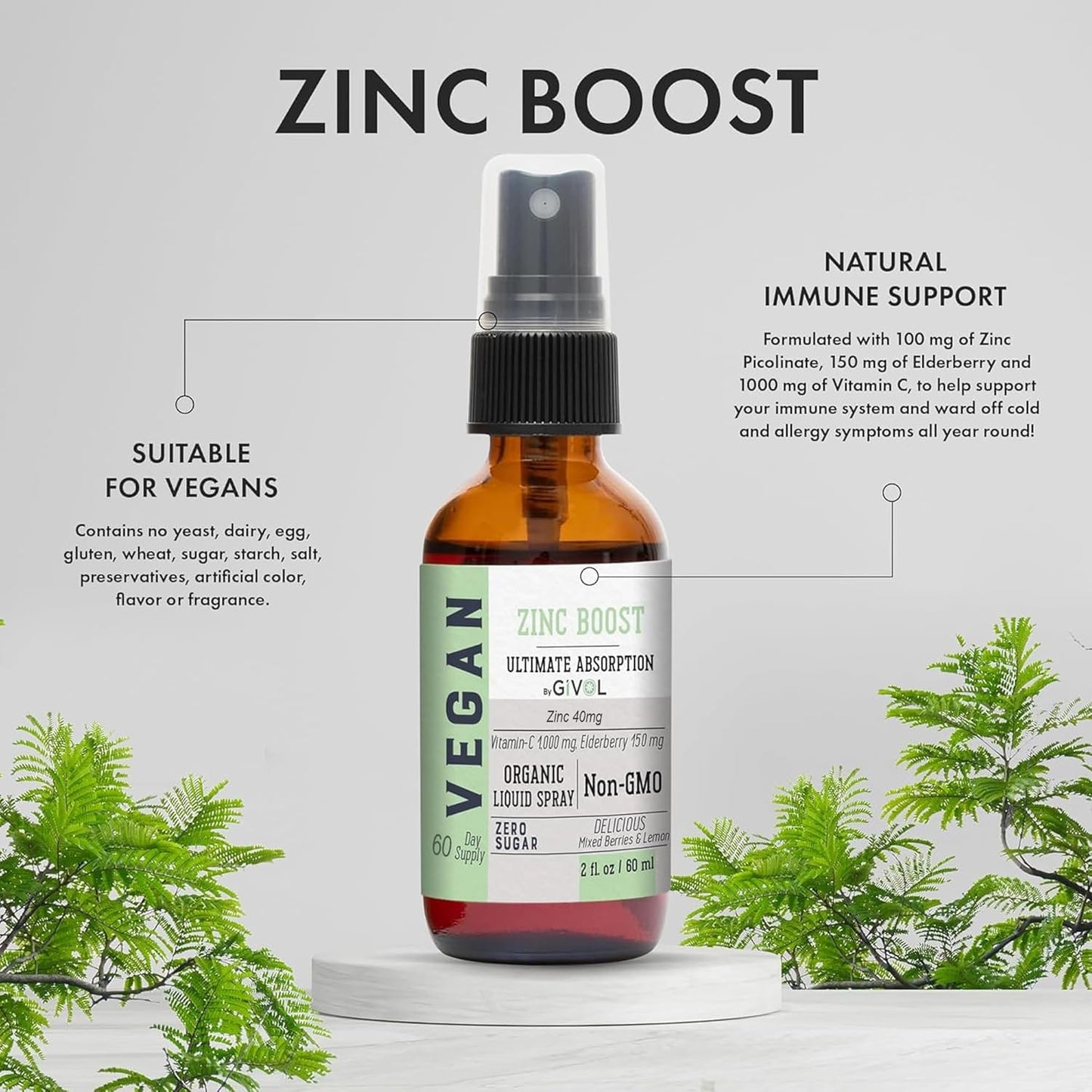 Extra Strength Tri Magnesium Complex Liquid Spray with Vitamin C and Zinc Boost - Sugar Free Elderberry Extract - 300mg Magnesium Biglycinate, Citrate & Taurate - 40mg Zinc - GIVOL