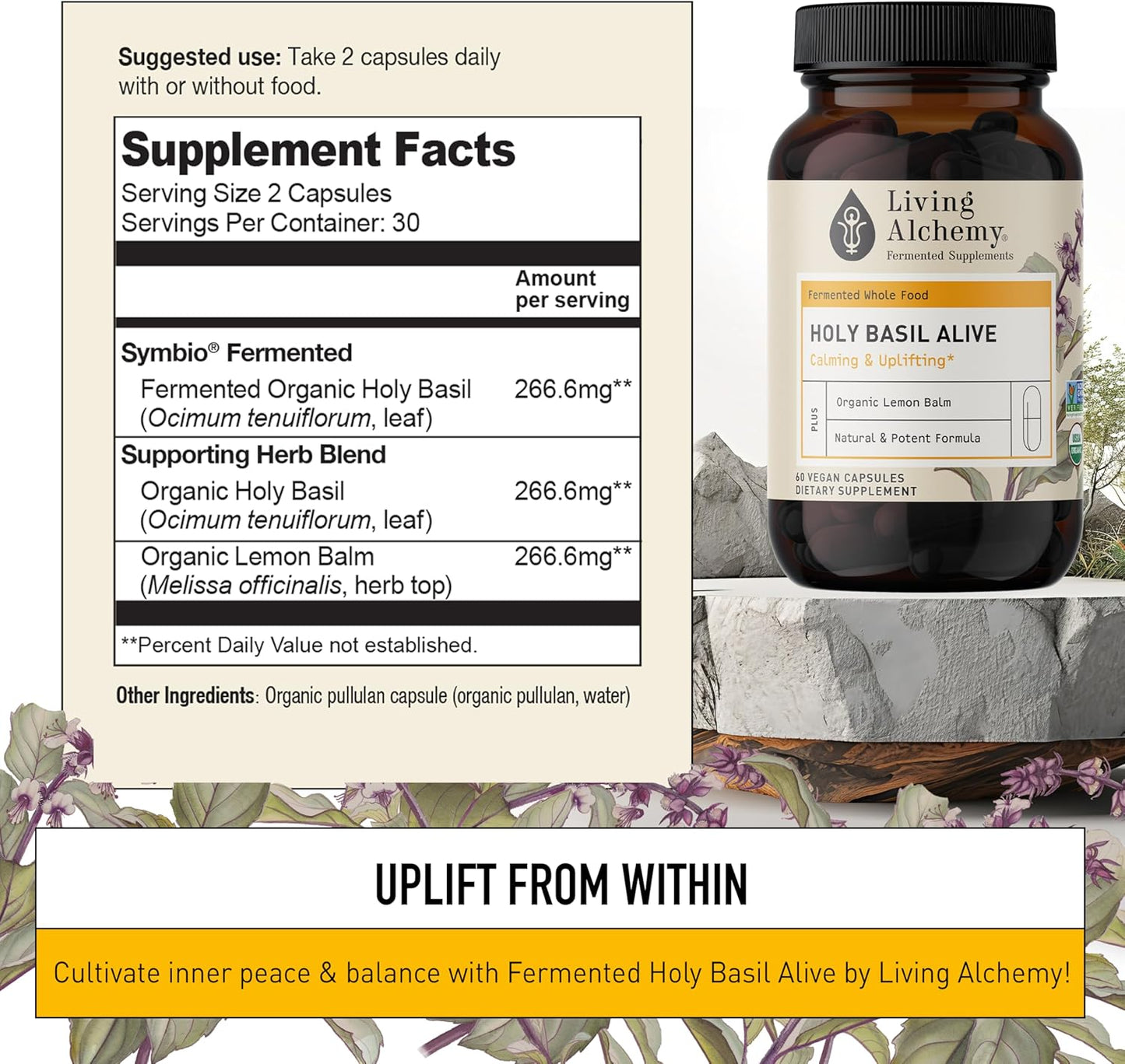 Fermented Holy Basil & Lemon Balm Mood Sleep Aid Supplement for Women & Men - Vegan Non-GMO - Living Alchemy 60 Capsules